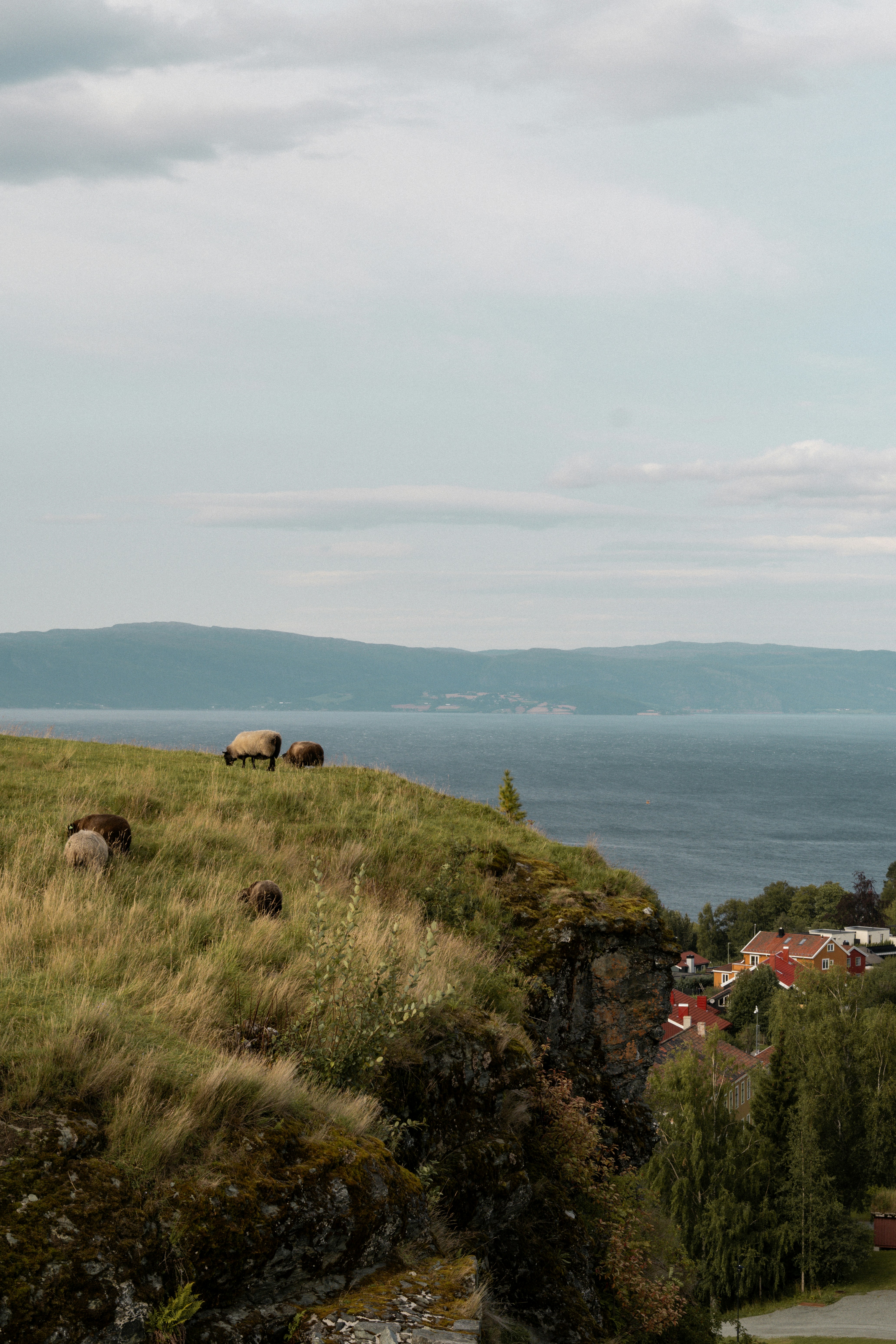 trondheim, norway image