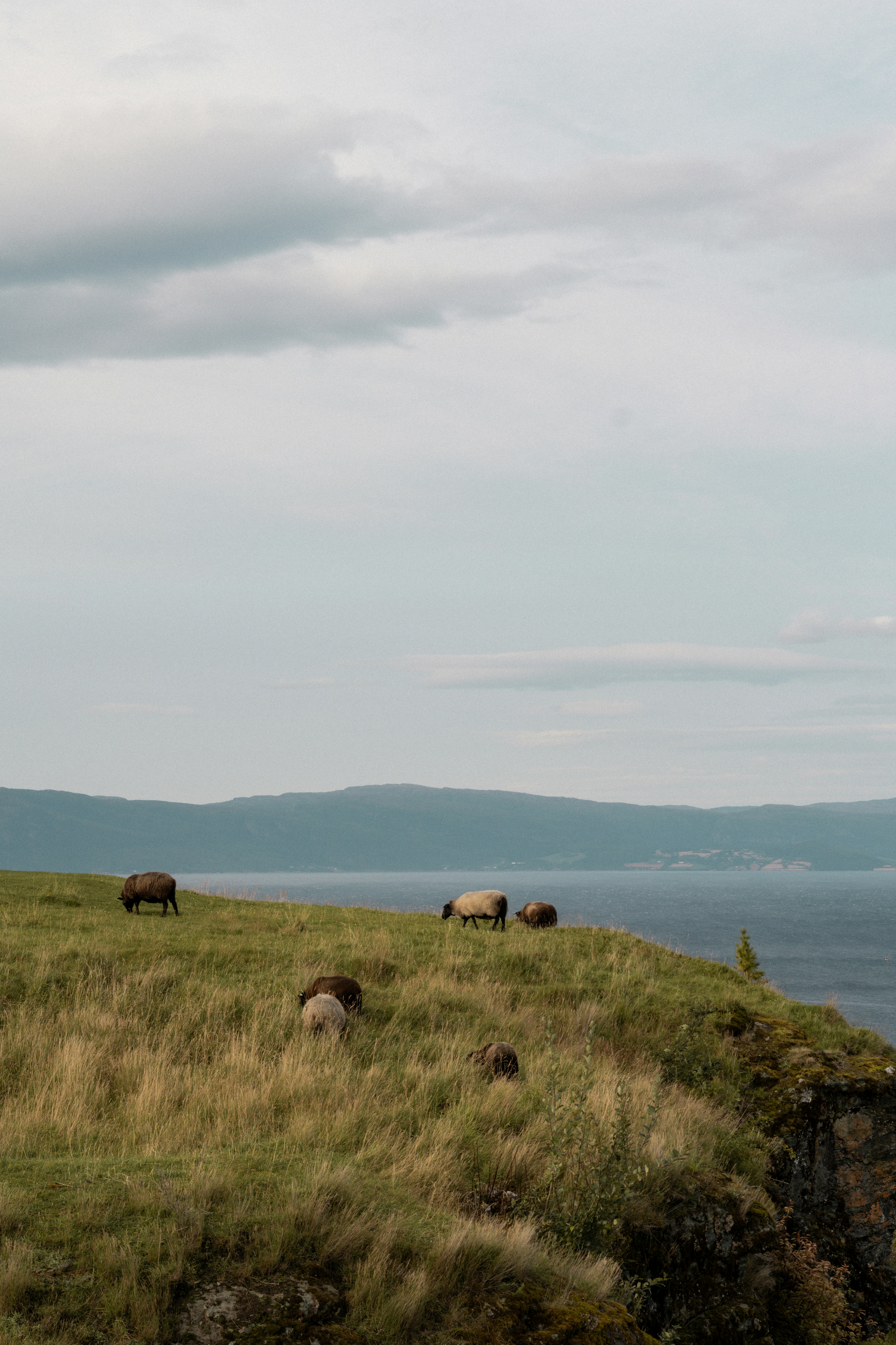 Photo by eliott_goutard