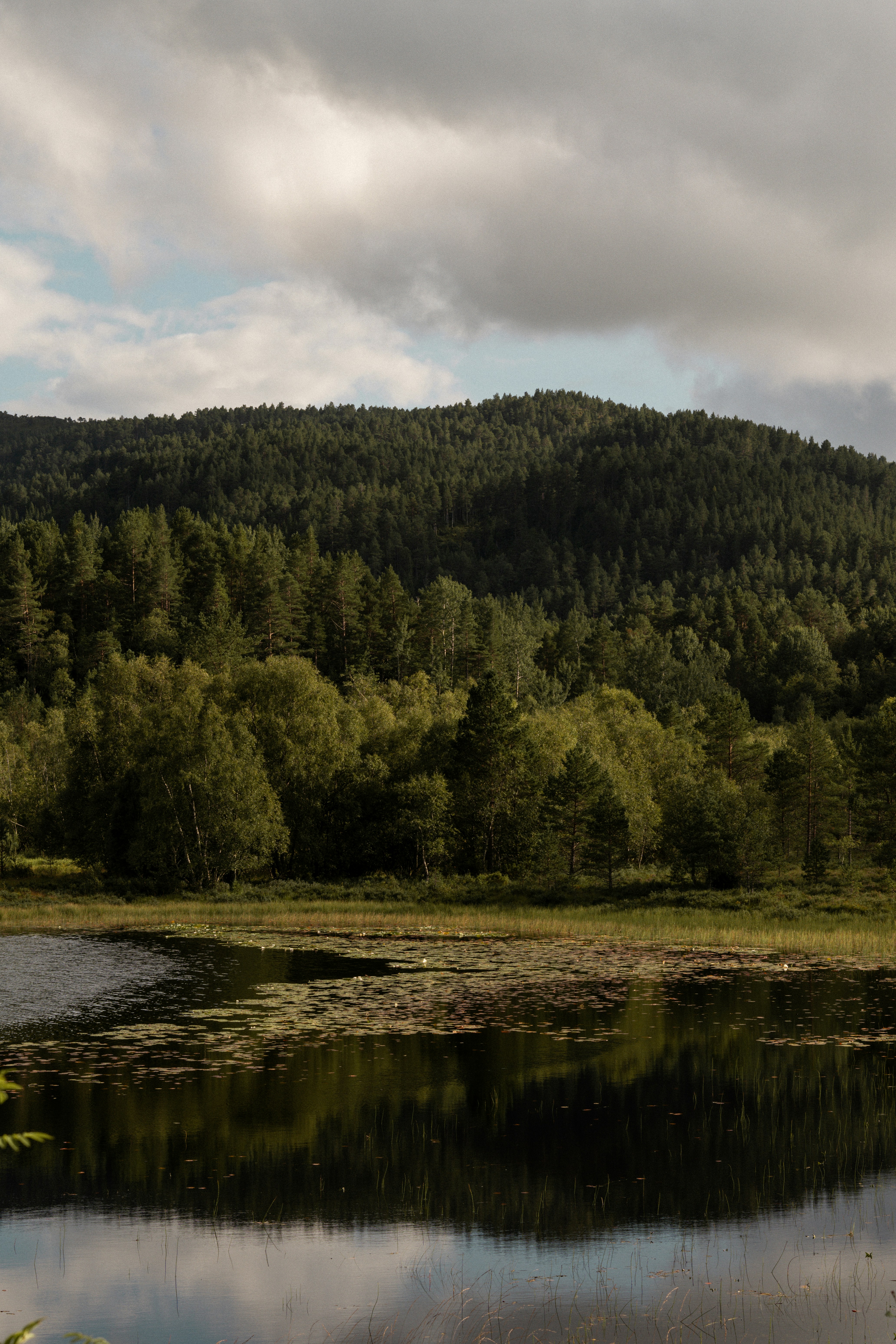 Photo by eliott_goutard