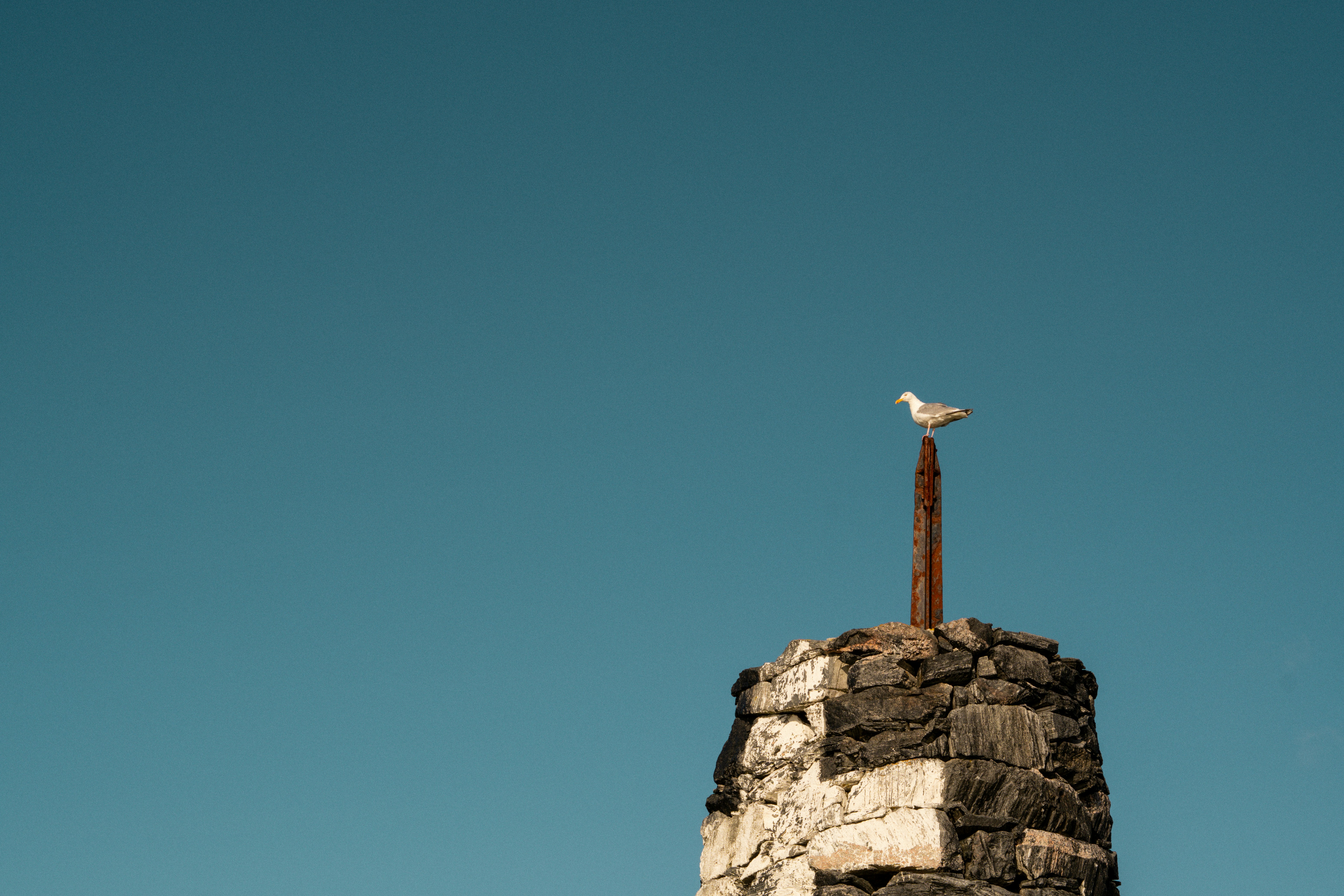 A bird sitting on top of a stone structure