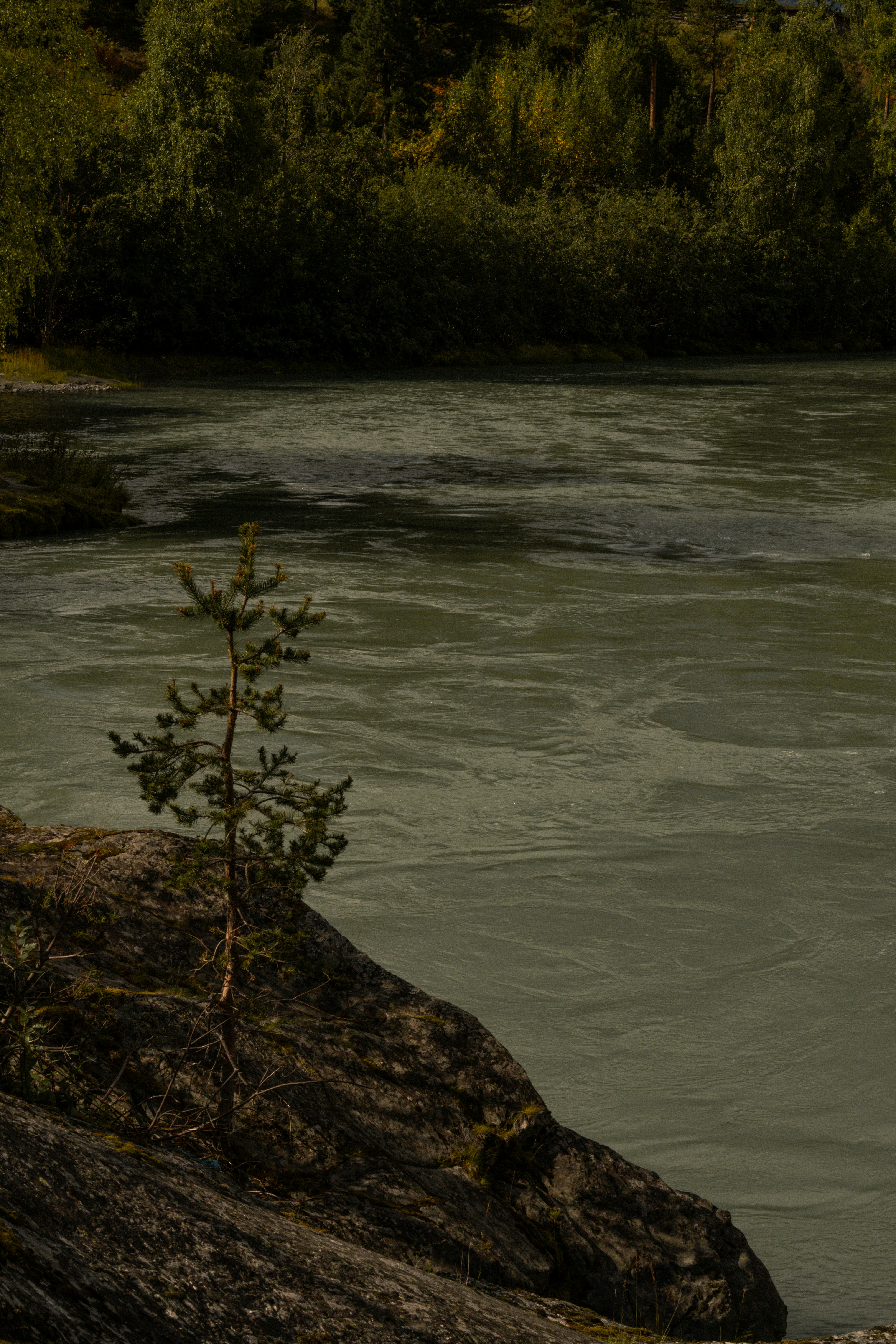 Photo by eliott_goutard