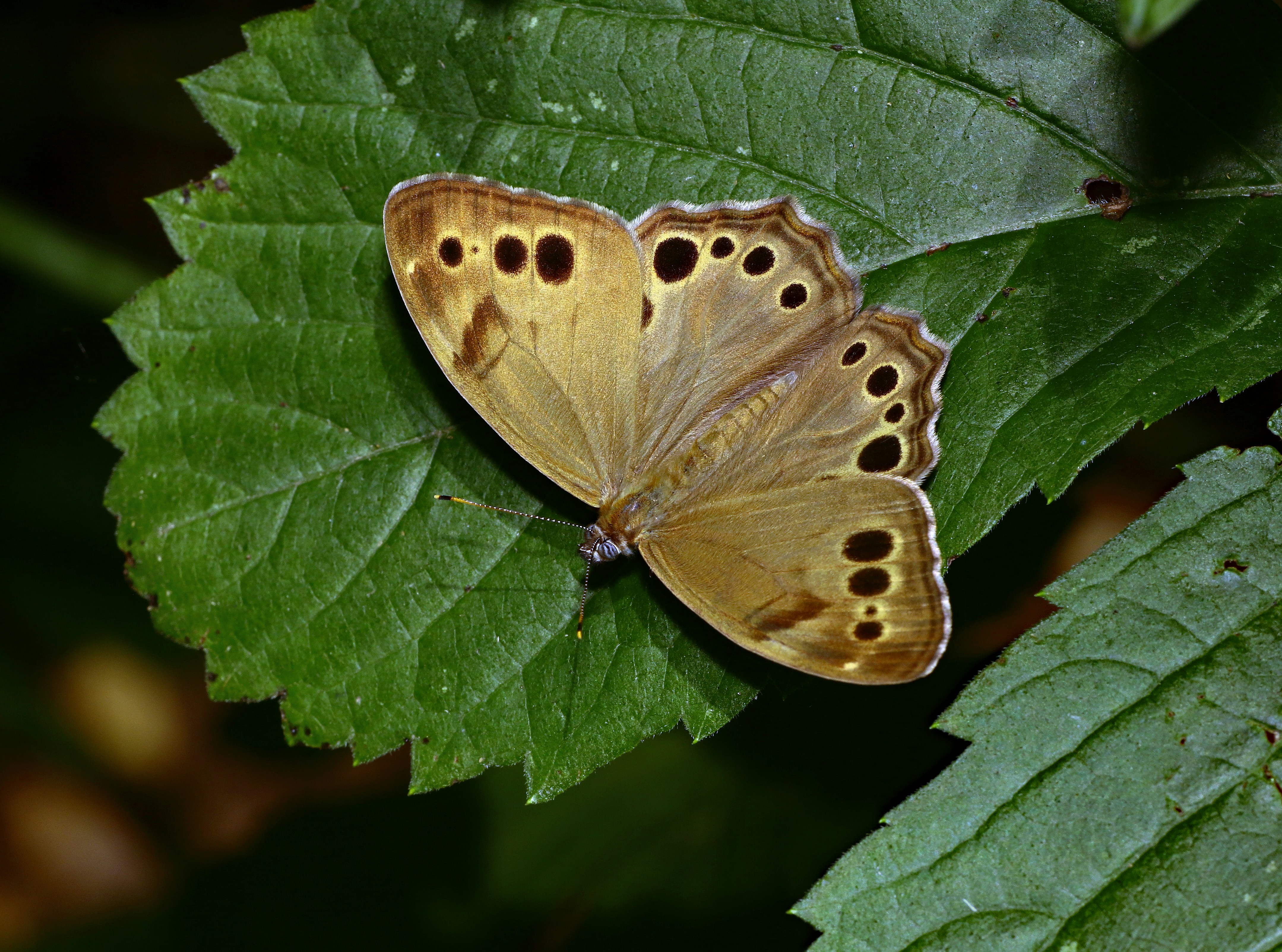 Photo by telliottmbamsc