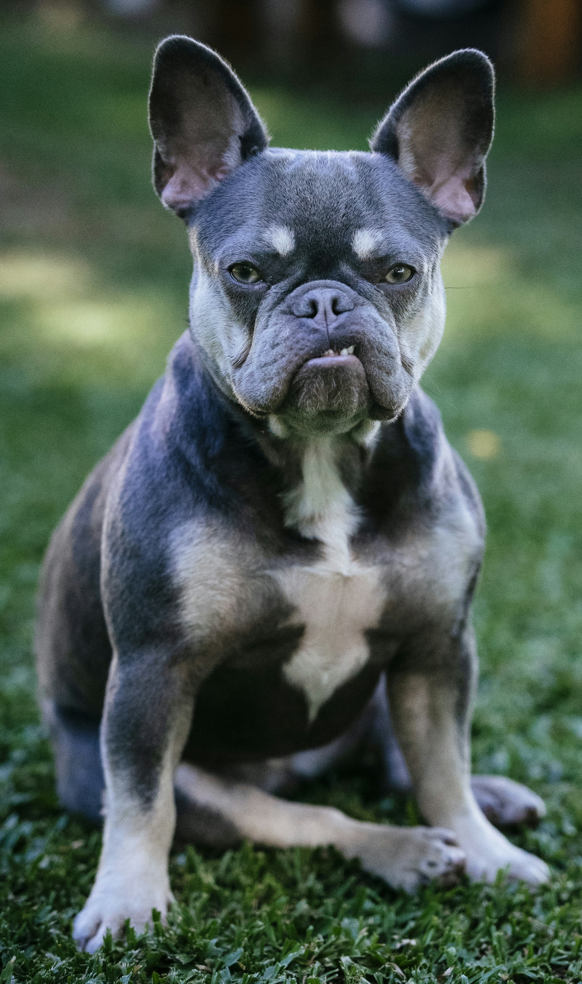 Photo by katalinsalles