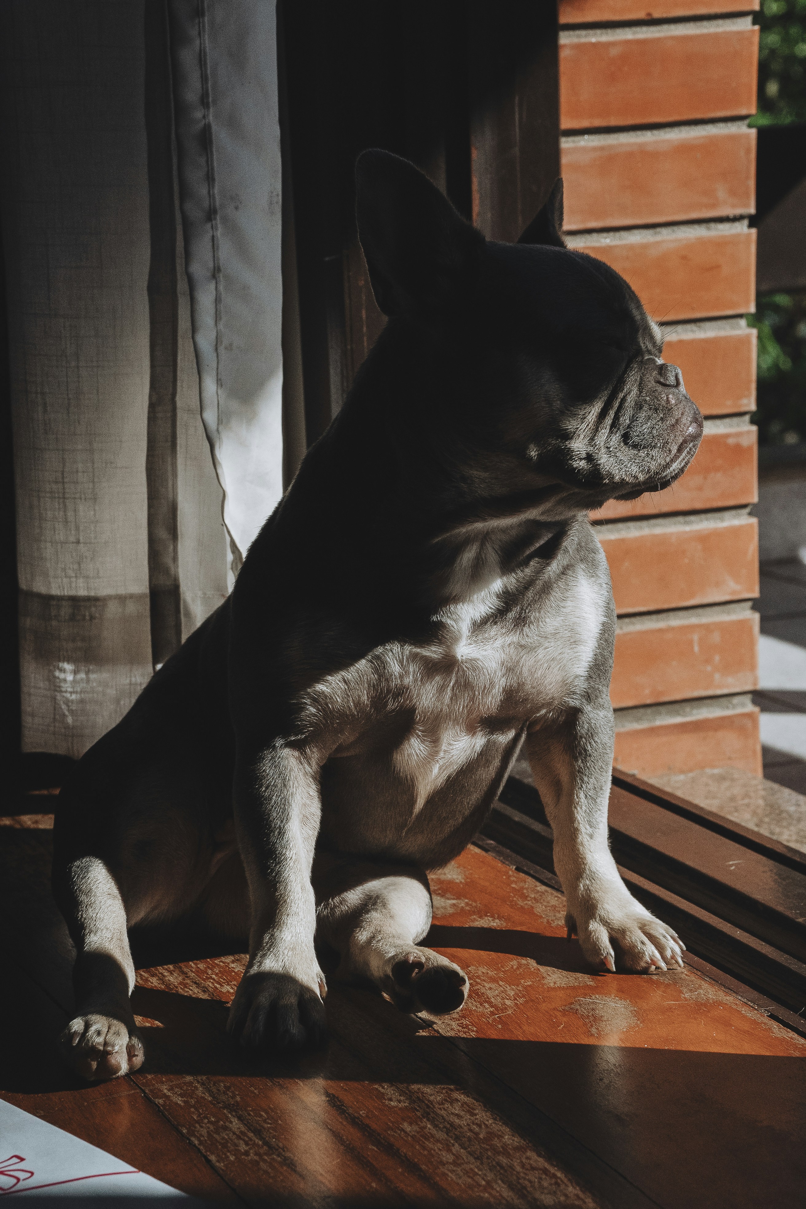 Photo by katalinsalles