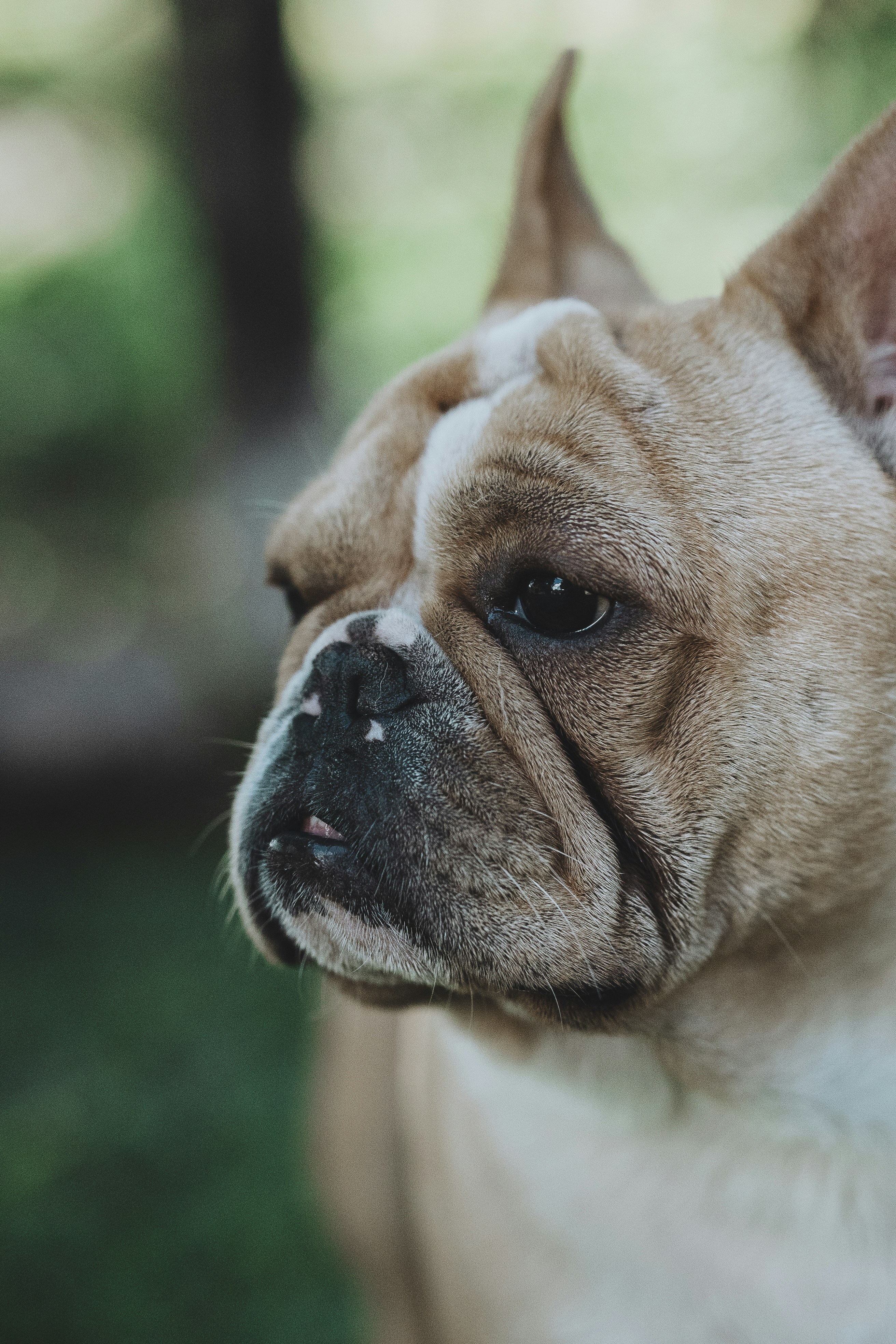 Photo by katalinsalles