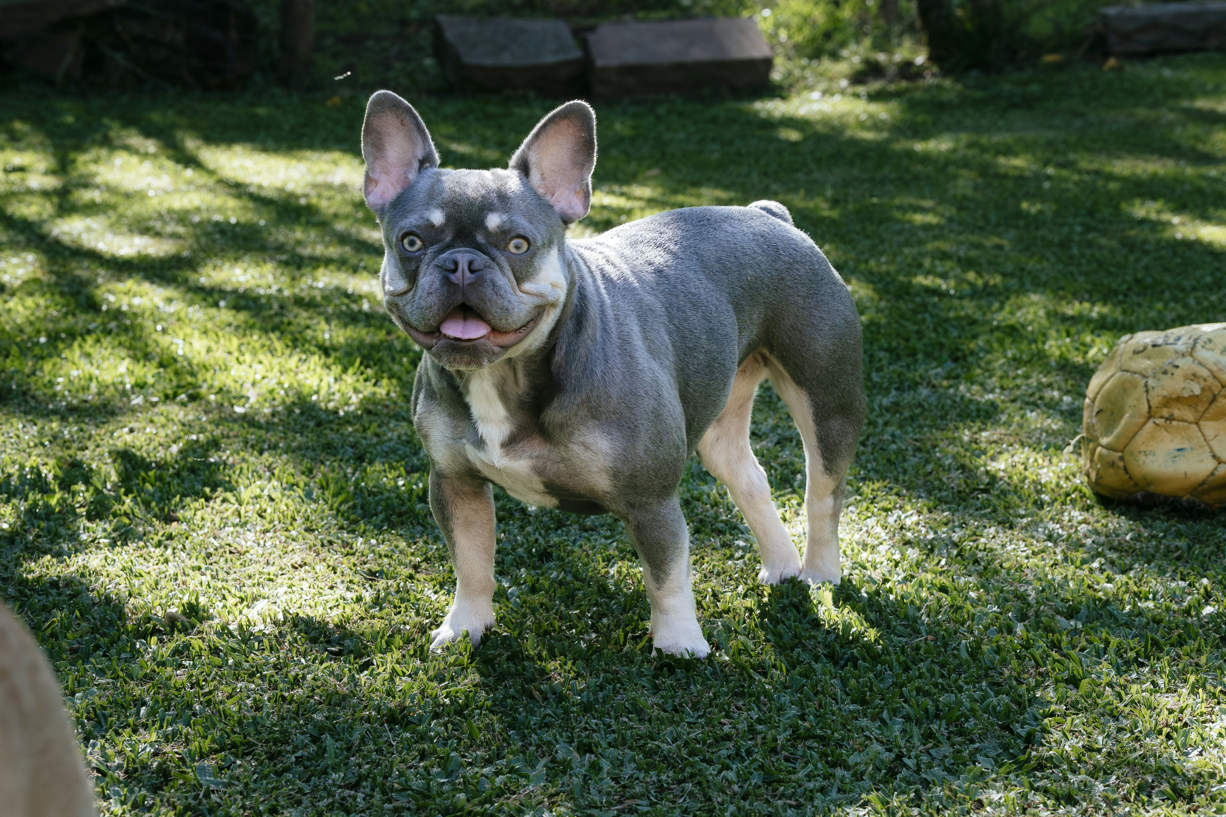 Photo by katalinsalles