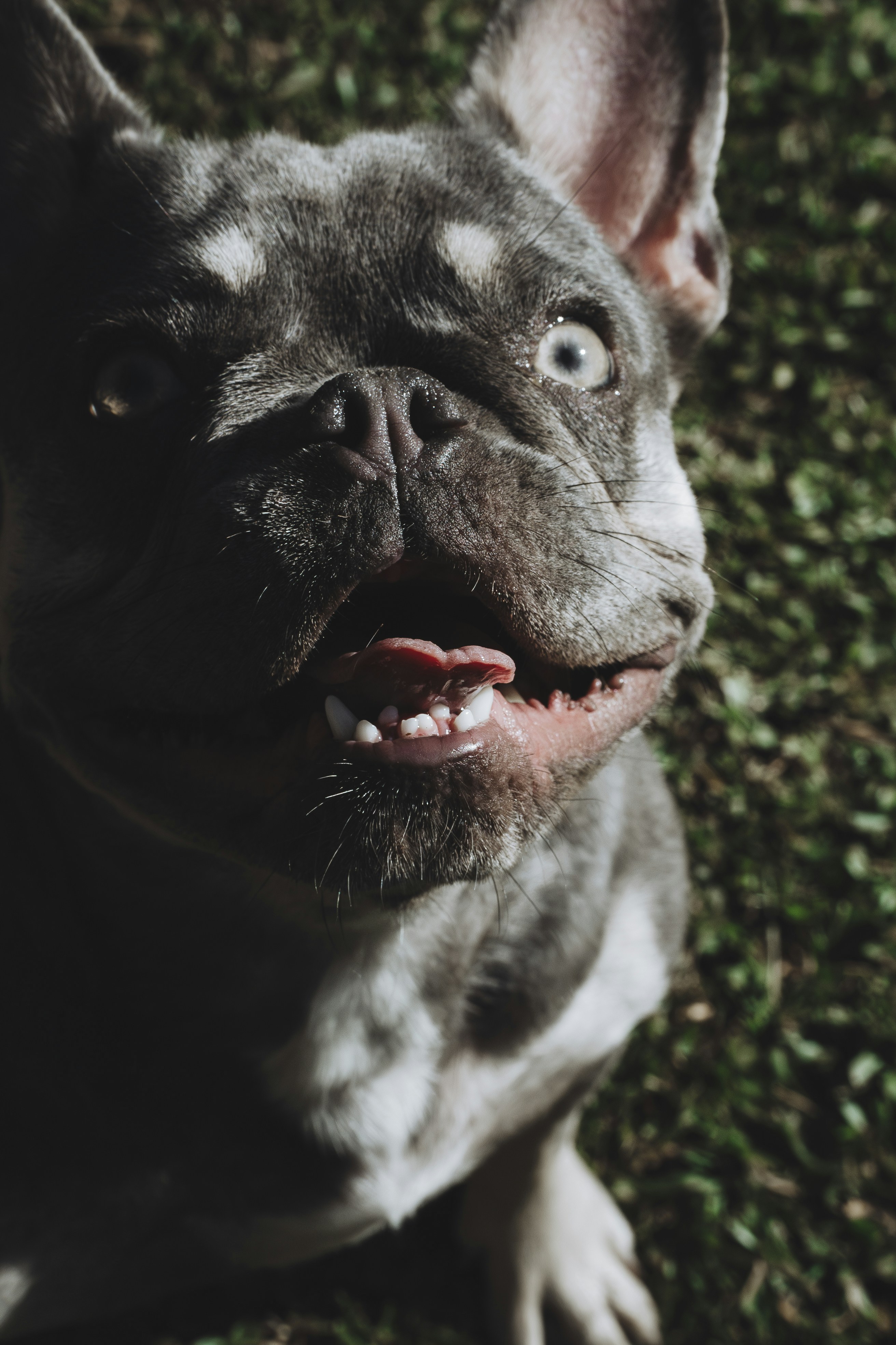 Photo by katalinsalles