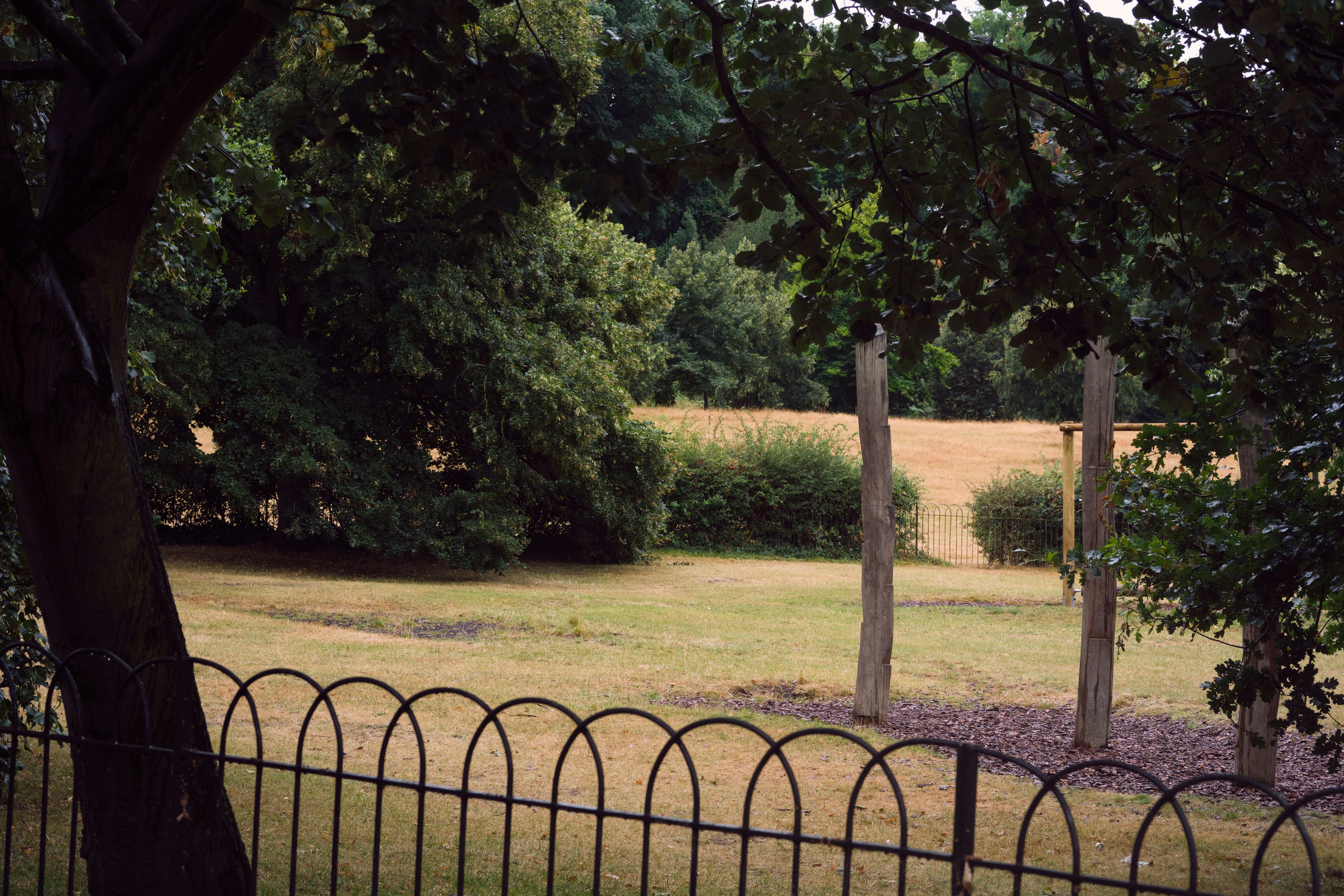 Photo by romanakash27