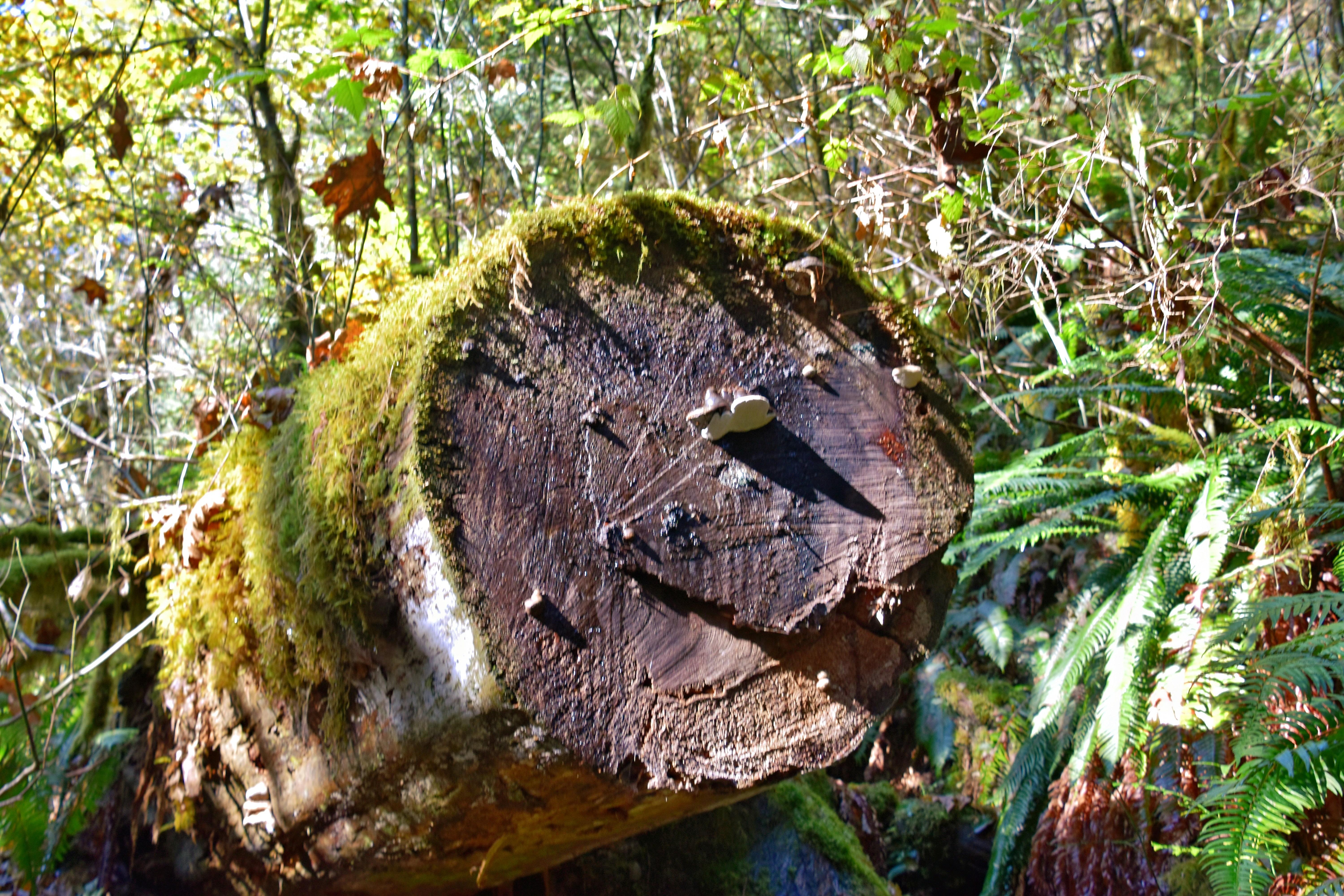 EventLog Inspector Monitoring and logging