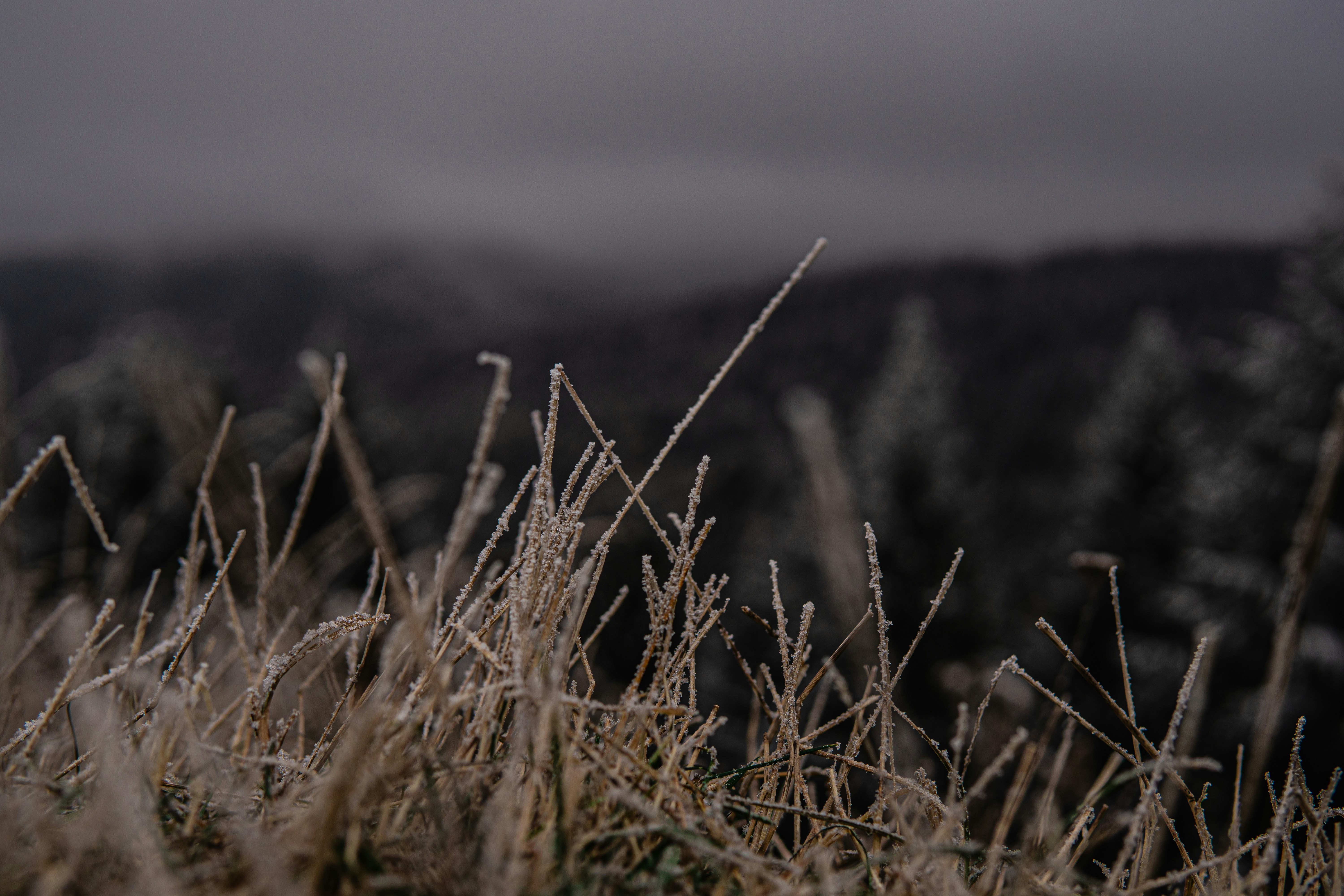 Photo by gaspitheartist