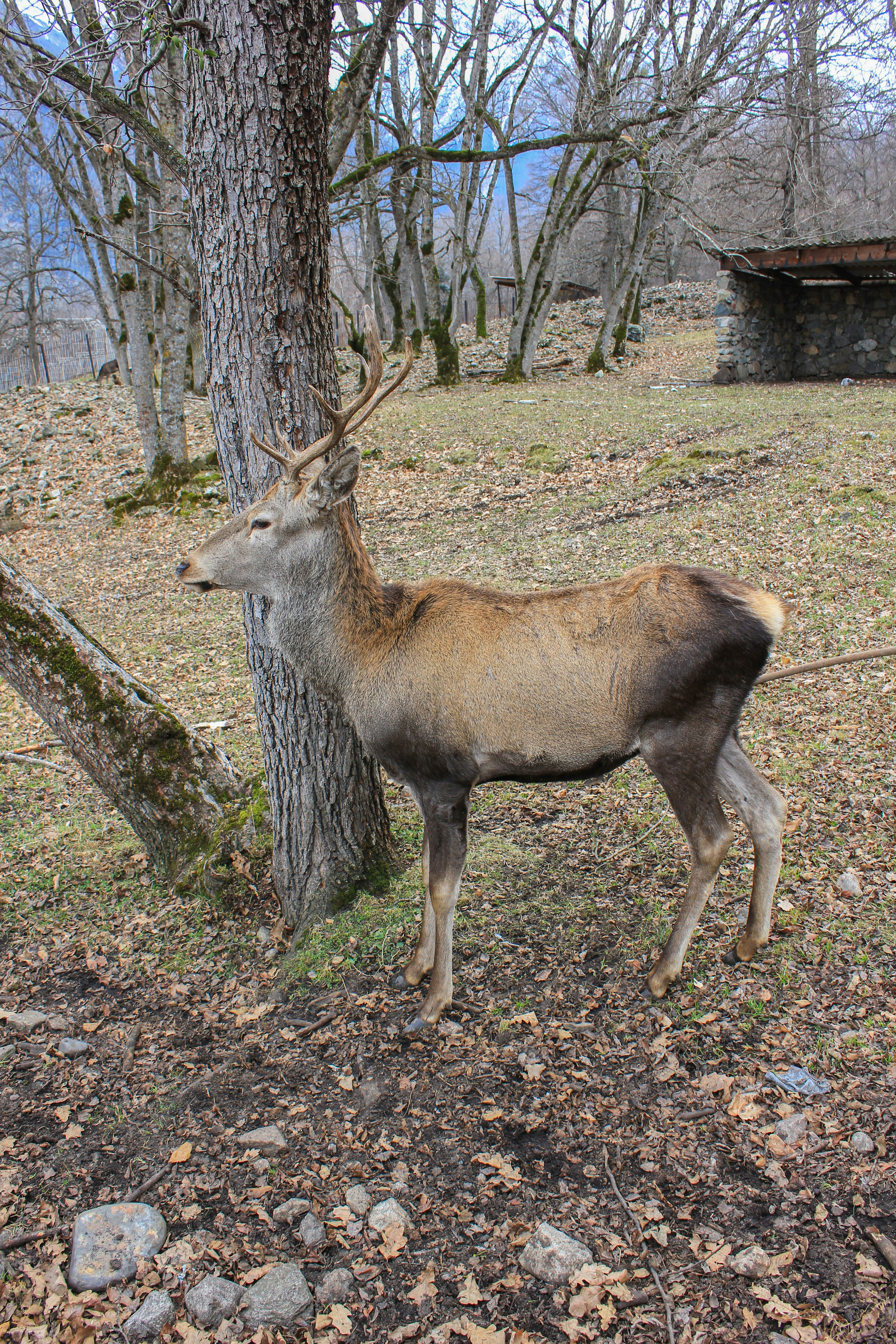 Photo by stepan_konev