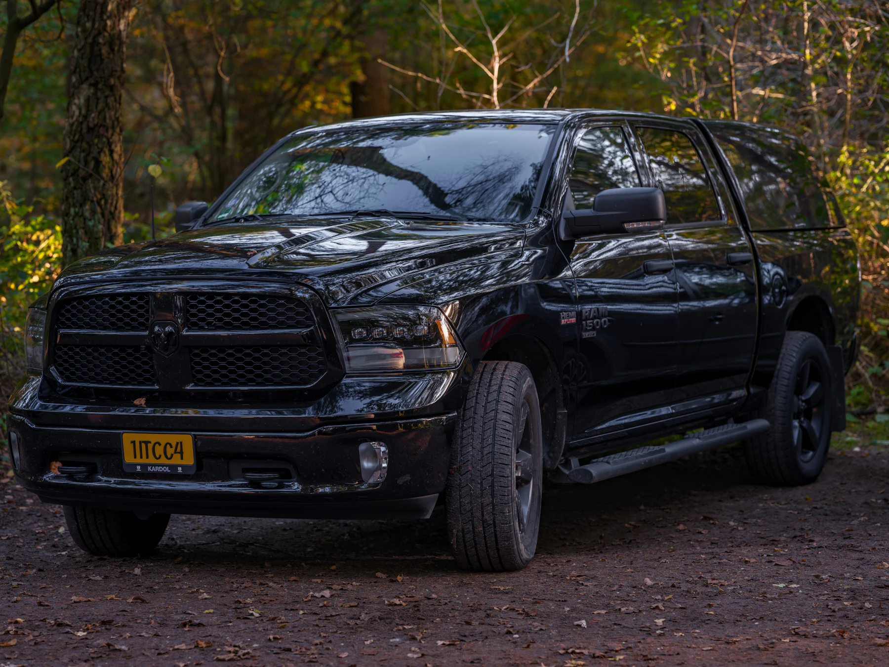 RAM 1500 noir en sous-bois