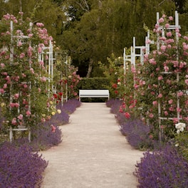 A white bench sitting in the middle of a garden