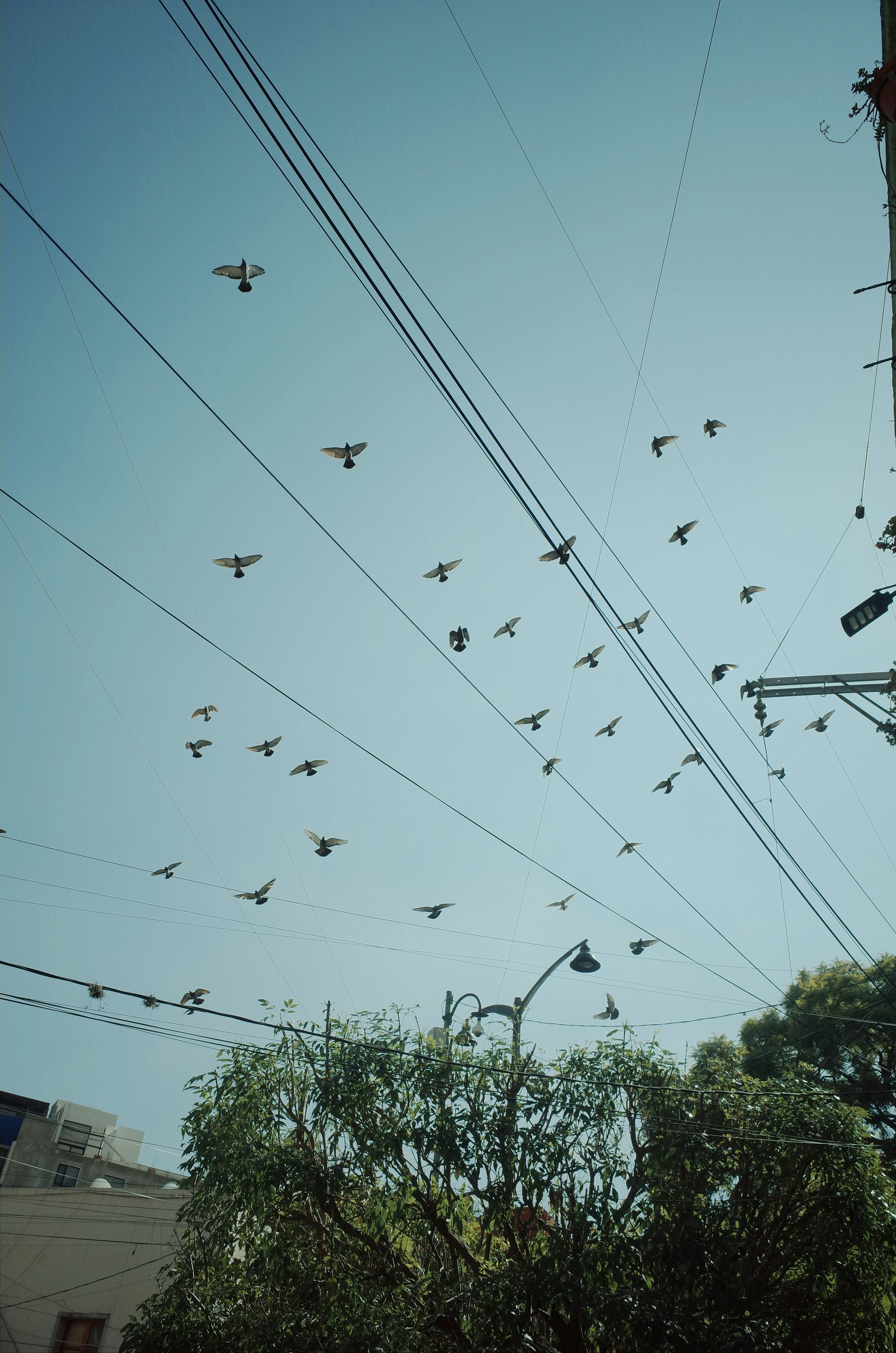 Photo by javio