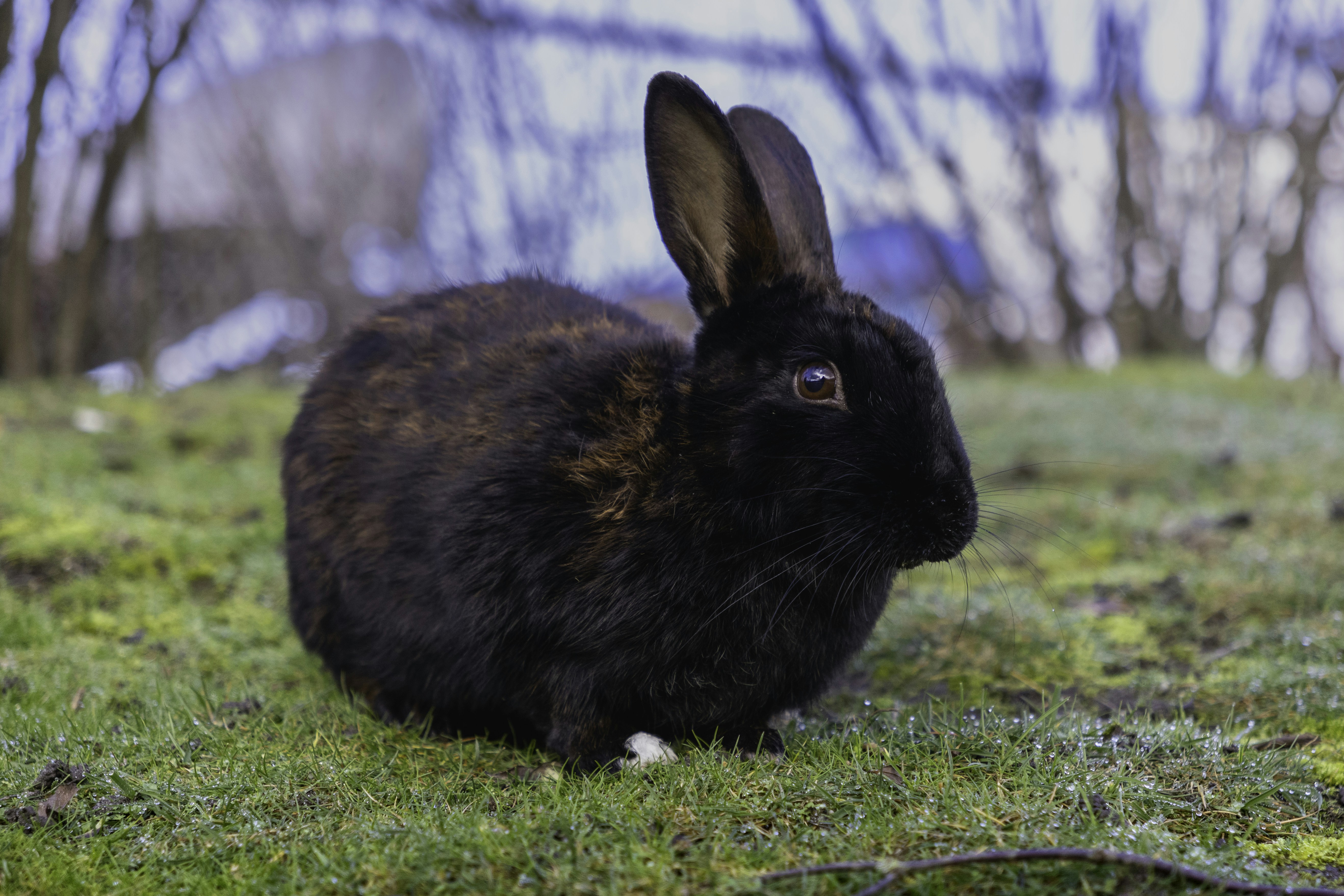 Photo by thedailystruggles