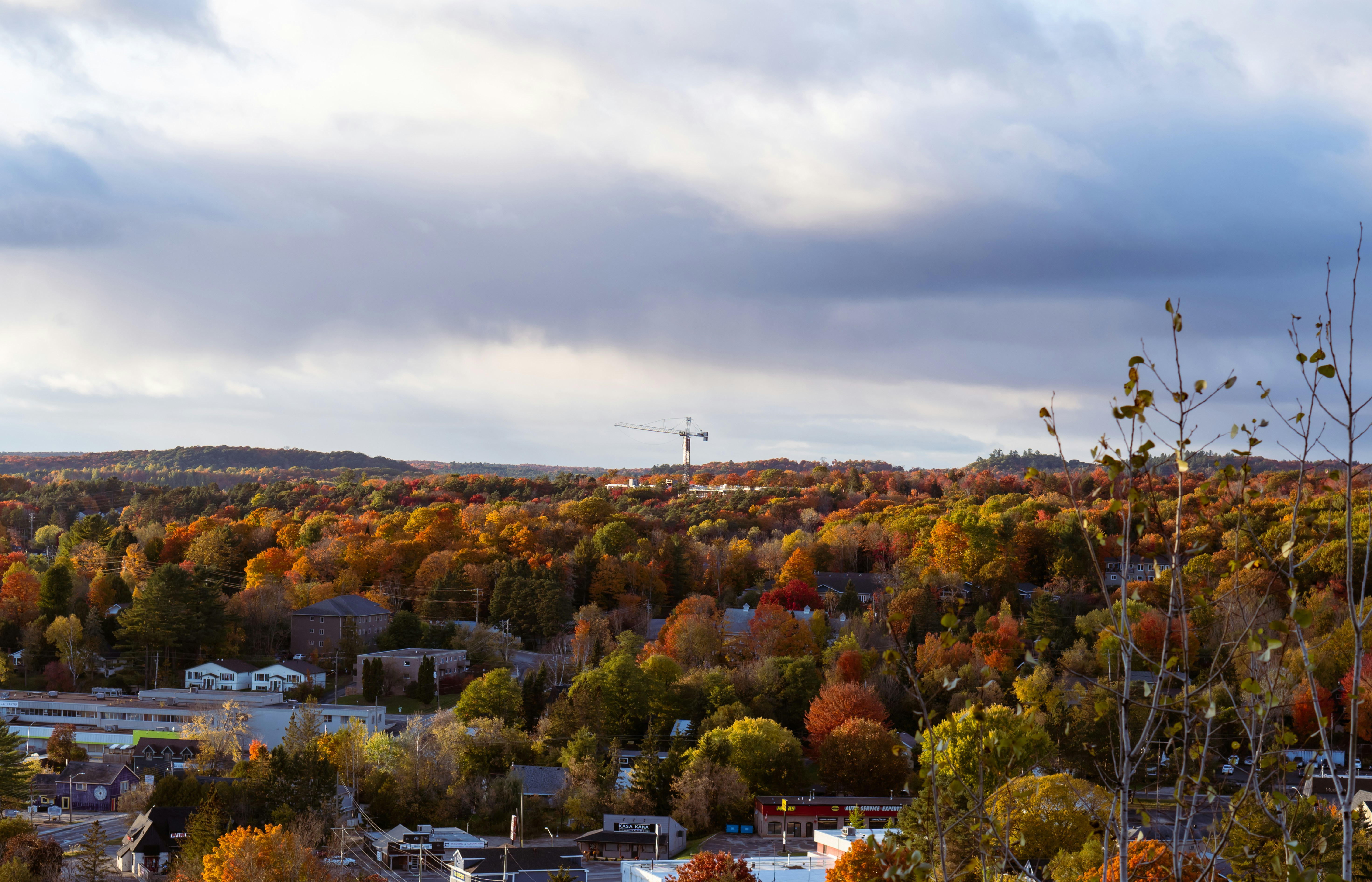 Photo by the_ahnafpiash