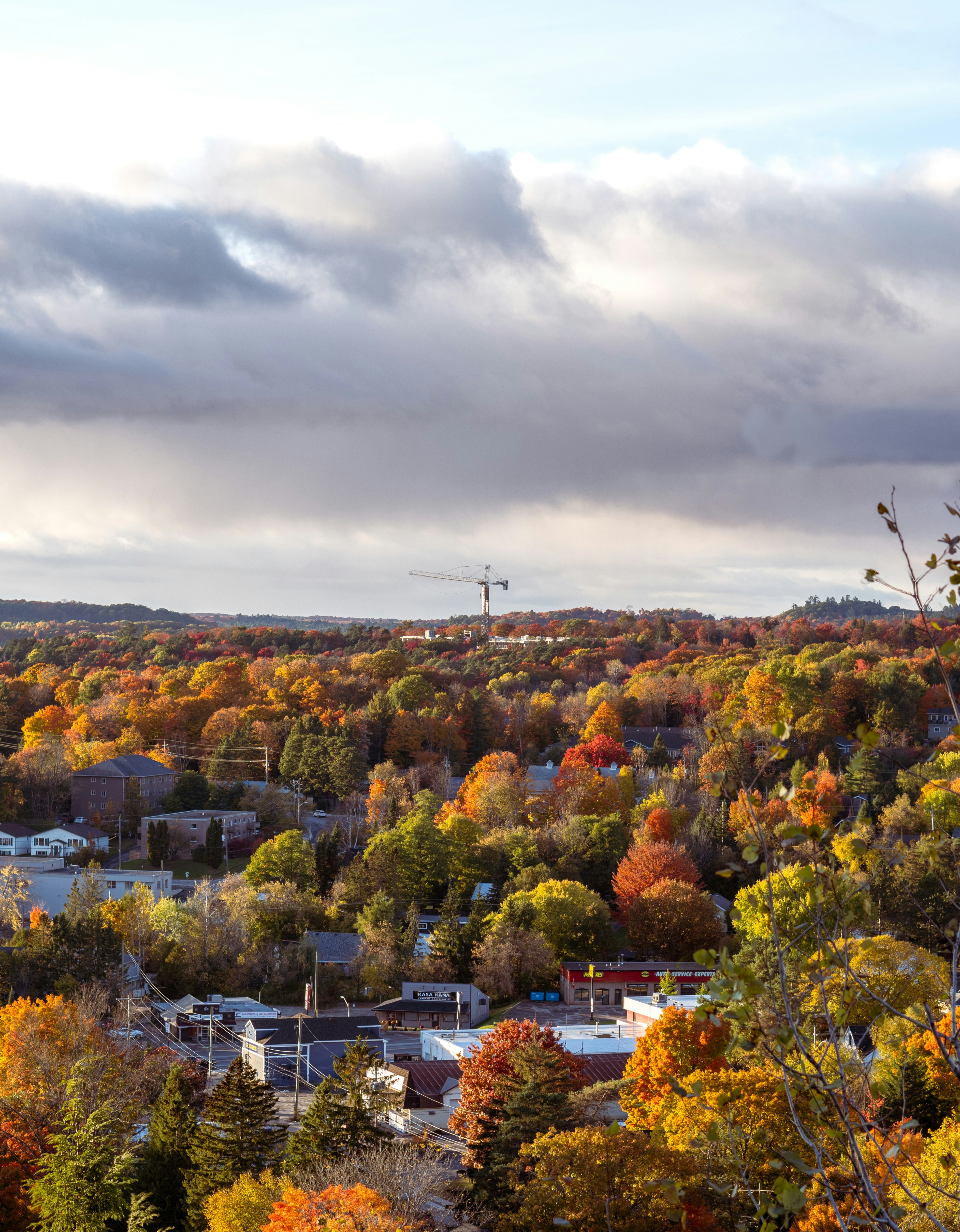 Photo by the_ahnafpiash