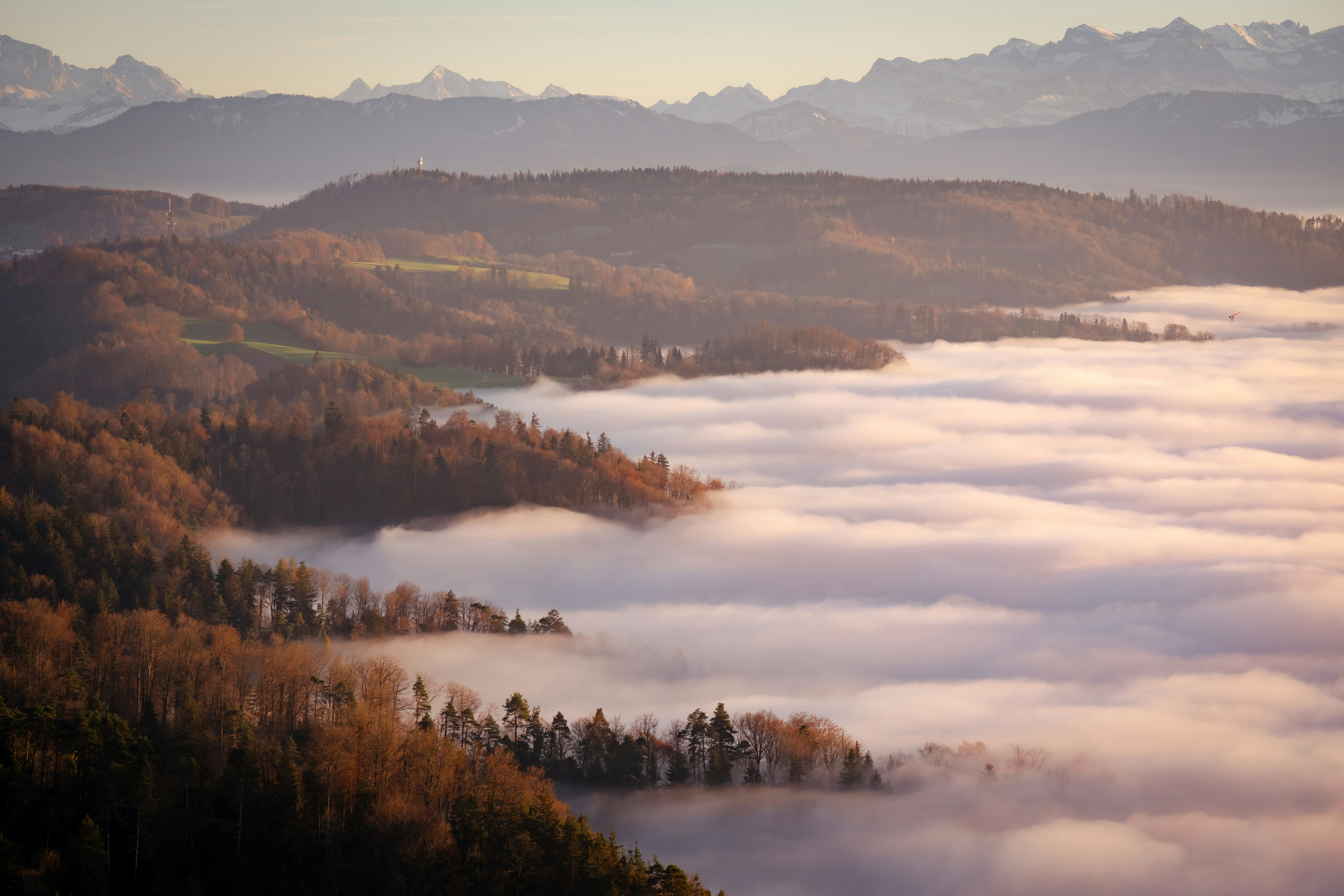 a wide shot of nature