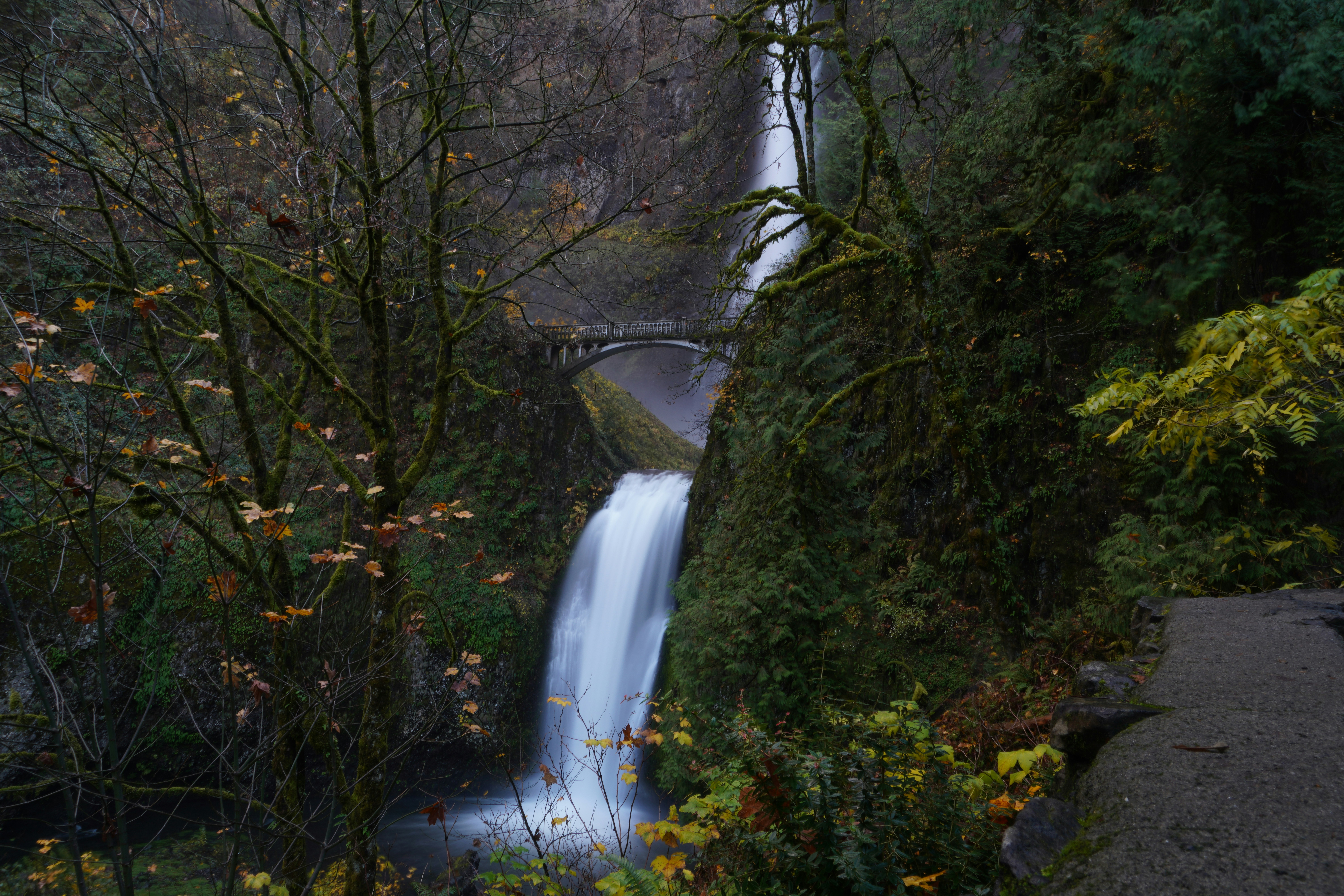 A waterfall in the middle of a forest