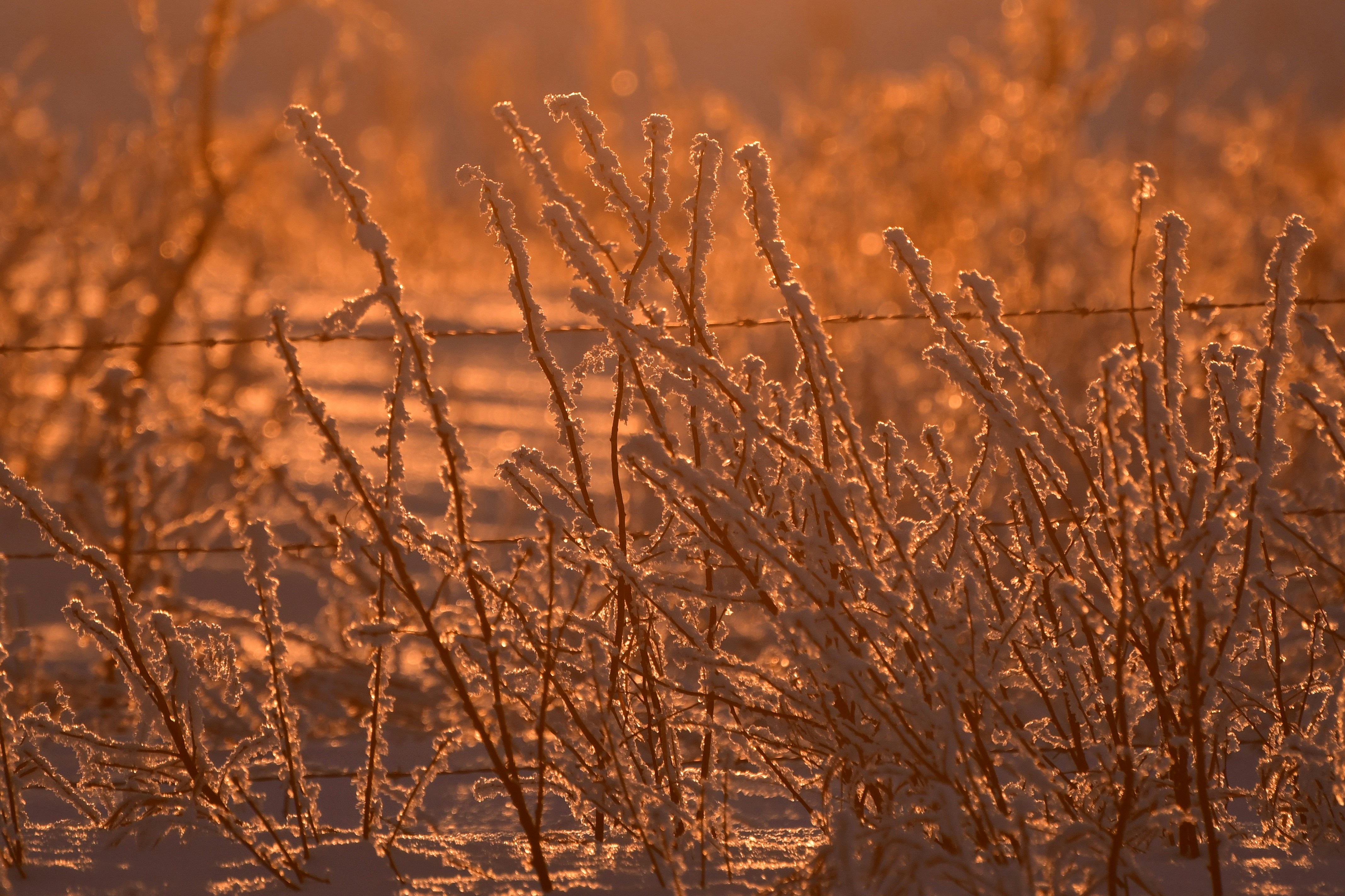 Winterreifen, Sommerreifen oder Ganzjahresreifen: Was ist die richtige Wahl?