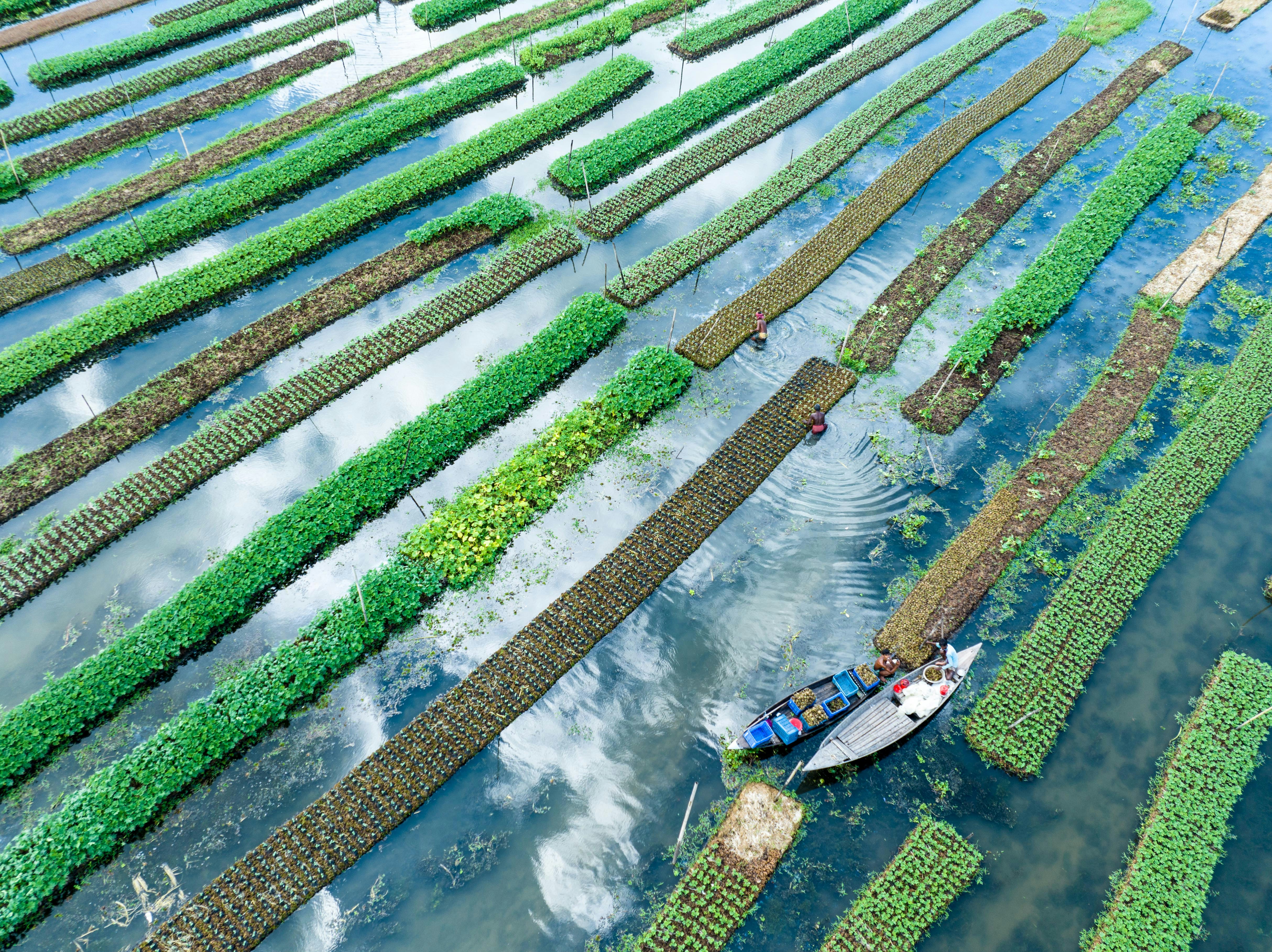 More water is exported invisibly than visibly.