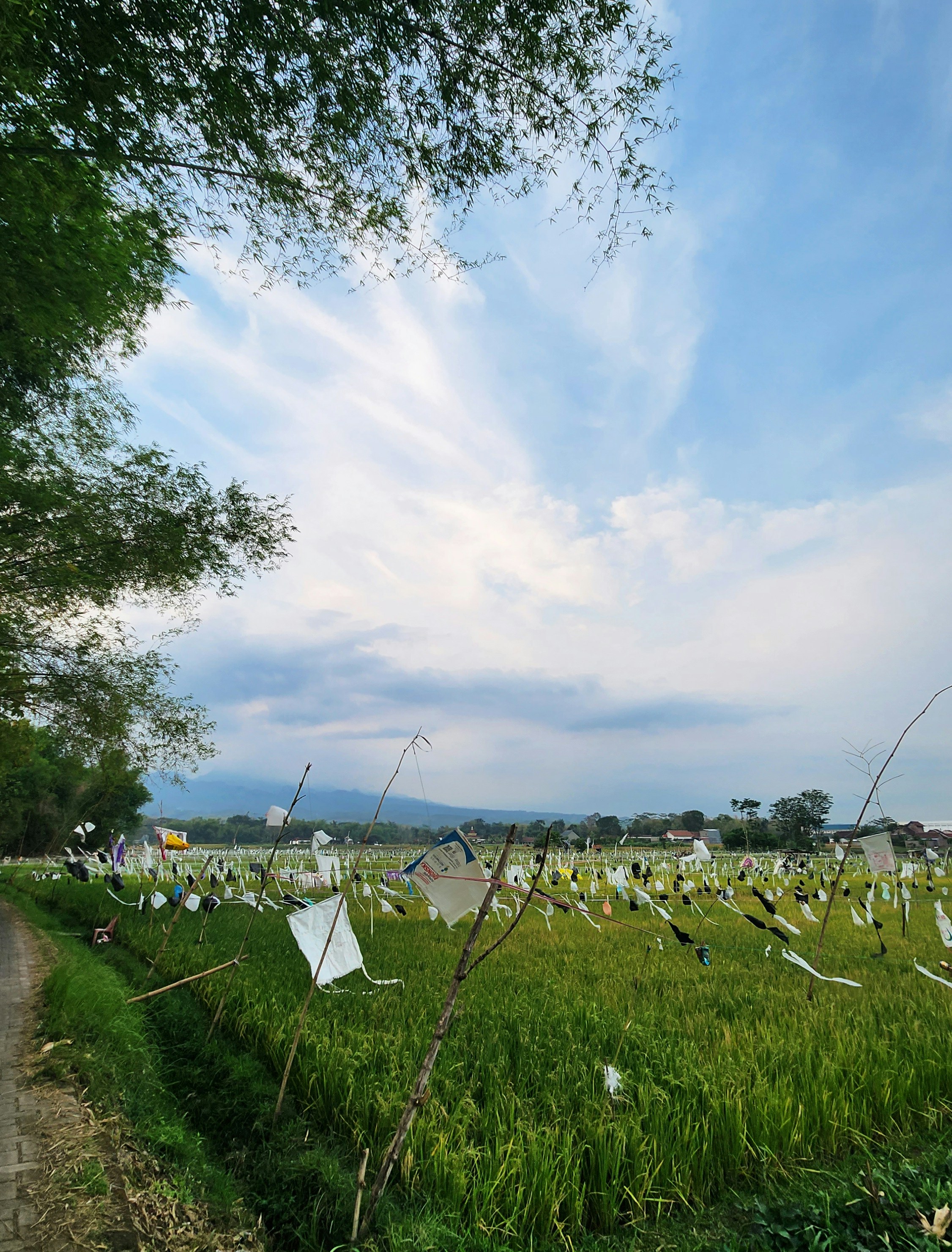 포천 산정호수 명성산 억새꽃 축제 주차장 관련 이미지2