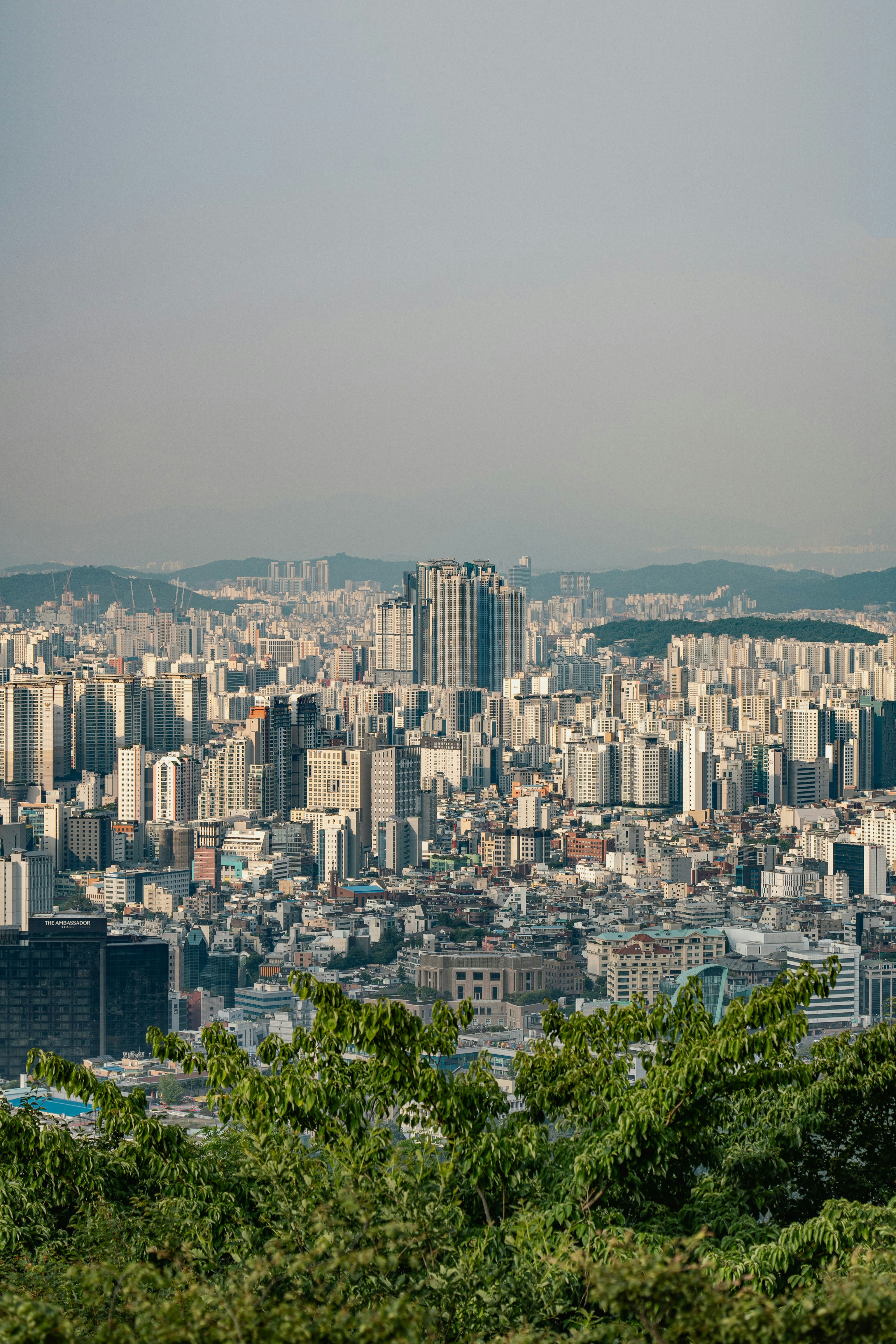 photo-1731828436197-aecc4c4be8e0?ixid=M3wxMjA3fDB8MXxzZWFyY2h8MTB8fCVFMCVCOCU5NCVFMCVCOCVCOSVFMCVCOCU4QiVFMCVCOCVCNSVFMCVCOCVBMyVFMCVCOCVCNSVFMCVCOSU4OCVFMCVCOCVBMiVFMCVCOSU4QyVFMCVCOSU4MCVFMCVCOCU4MSVFMCVCOCVCMiVFMCVCOCVBQiVFMCVCOCVBNSVFMCVCOCVCNXxlbnwwfHx8fDE3NTk3MTk2ODh8MA\u0026ixlib=rb-4.1.0