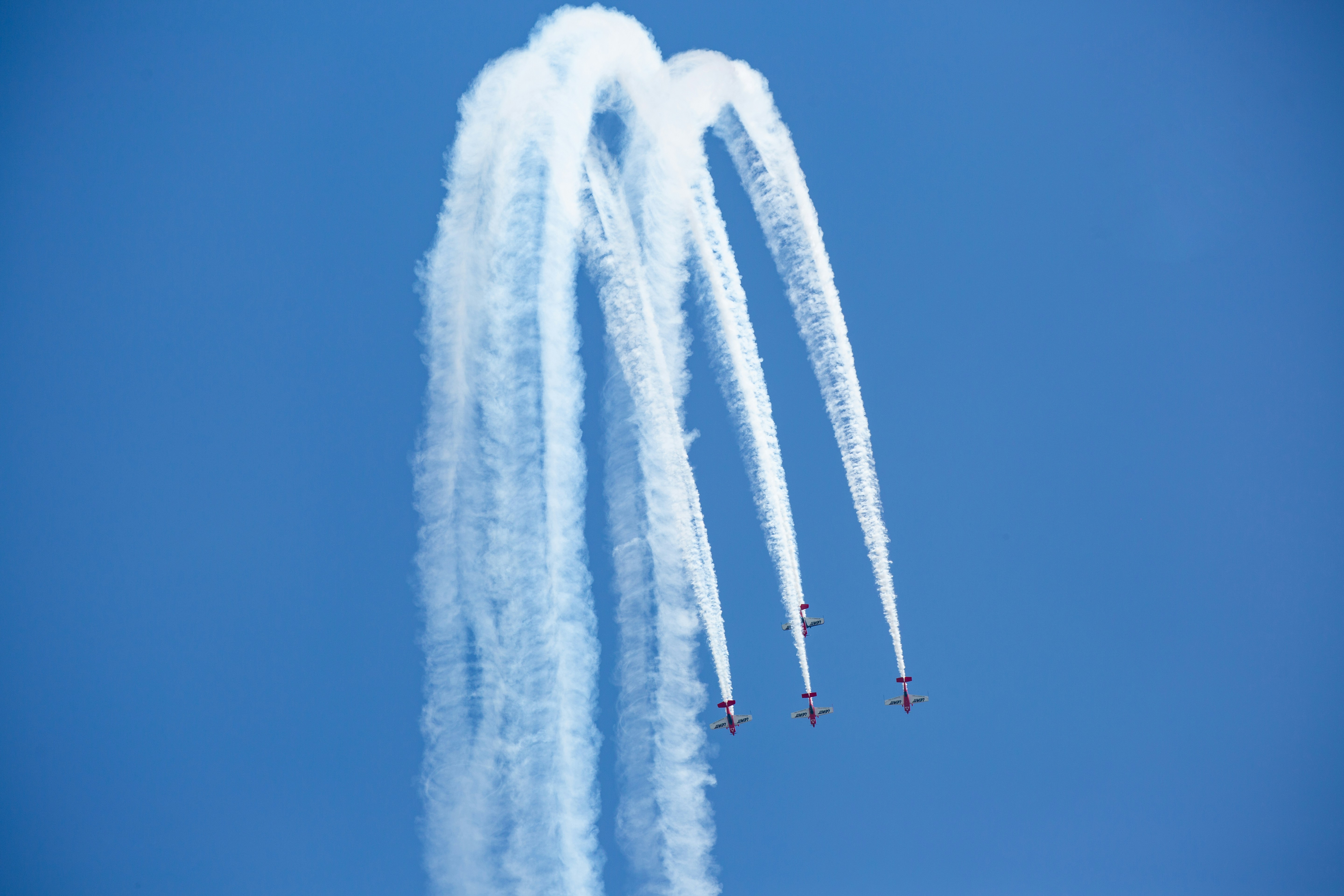 Photo by evans_dimsphoto