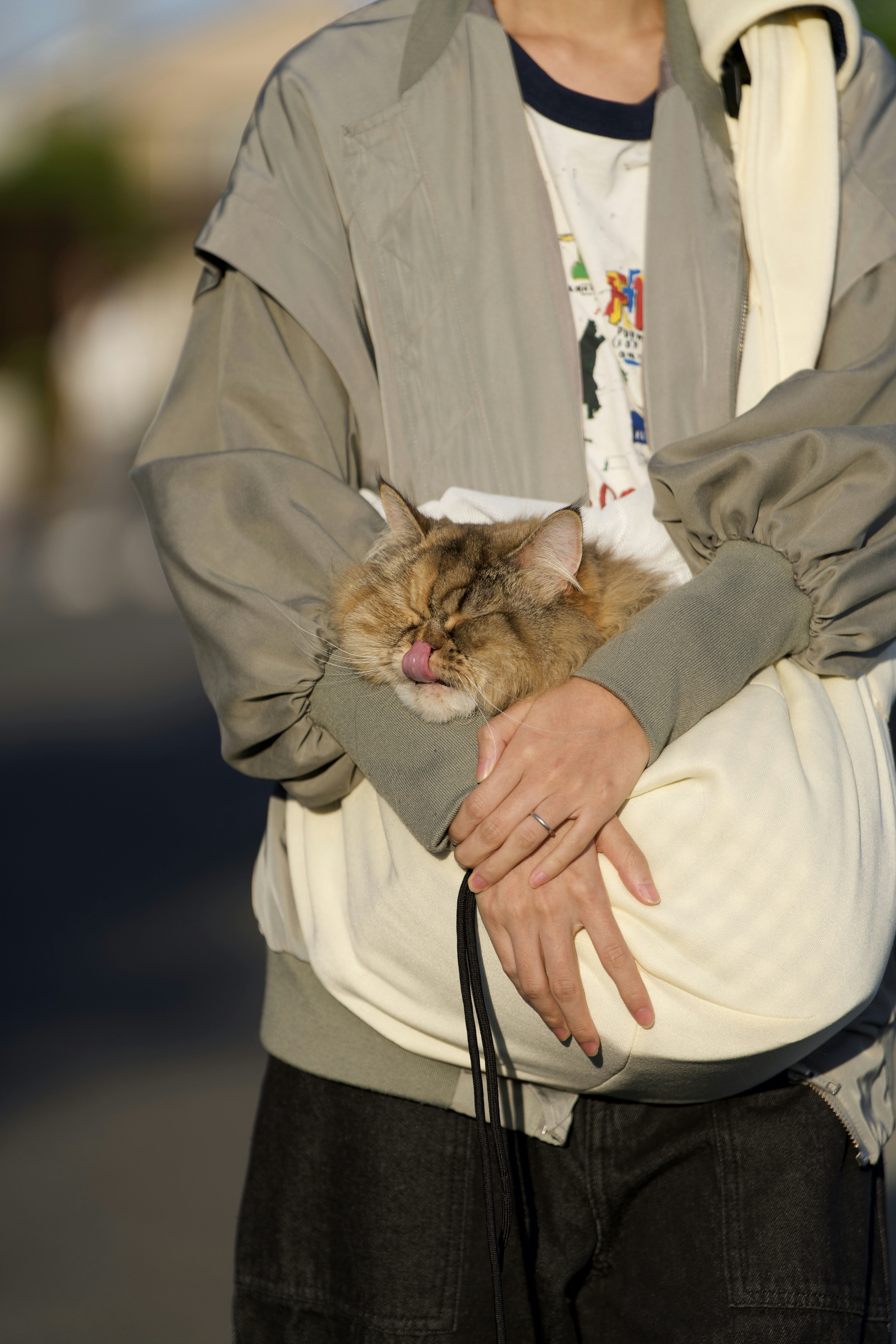 Is a Bonding Pouch Worth Buying for a Sugar Glider? An Honest Breakdown