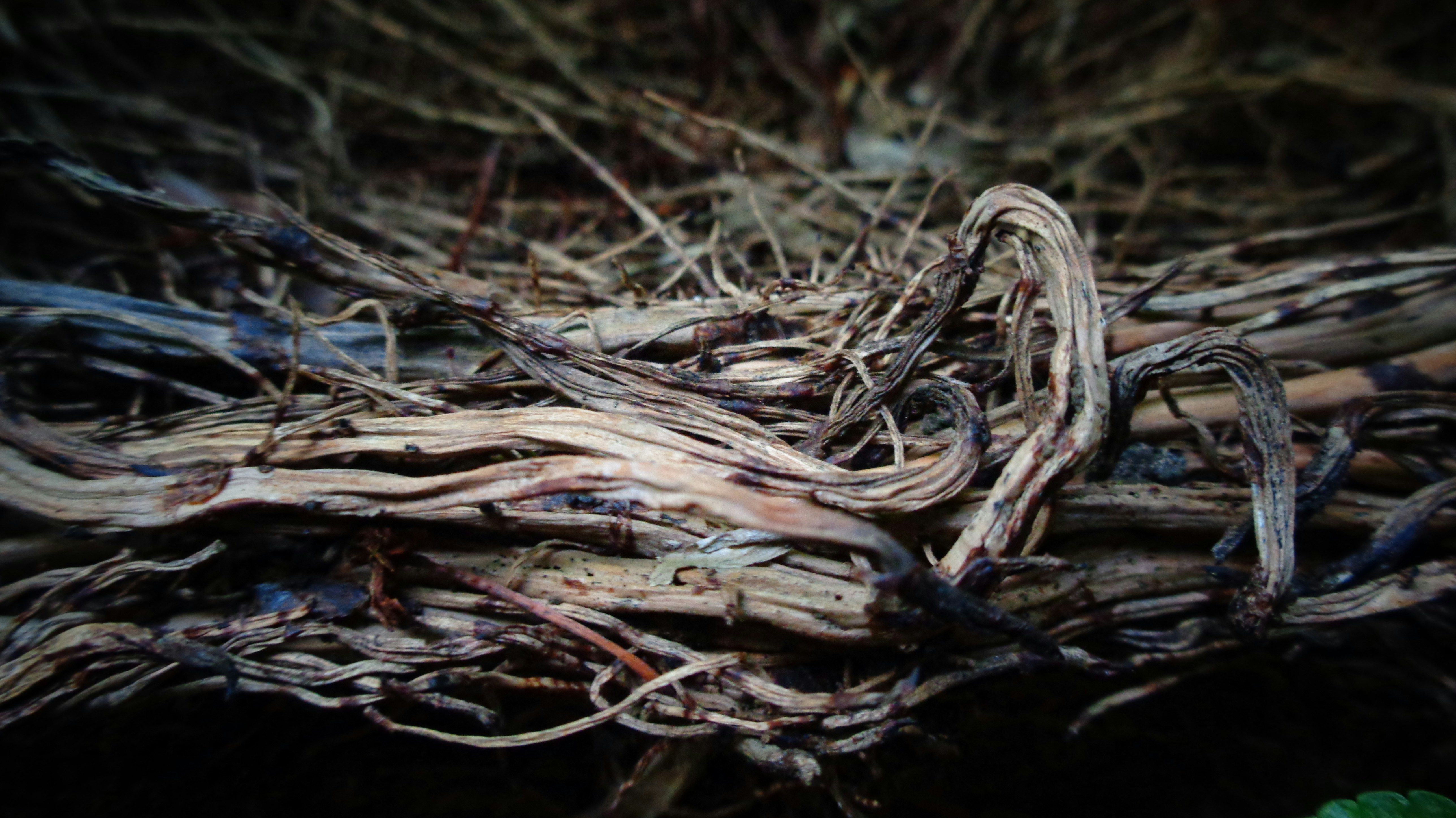 Photo by sciencaholic