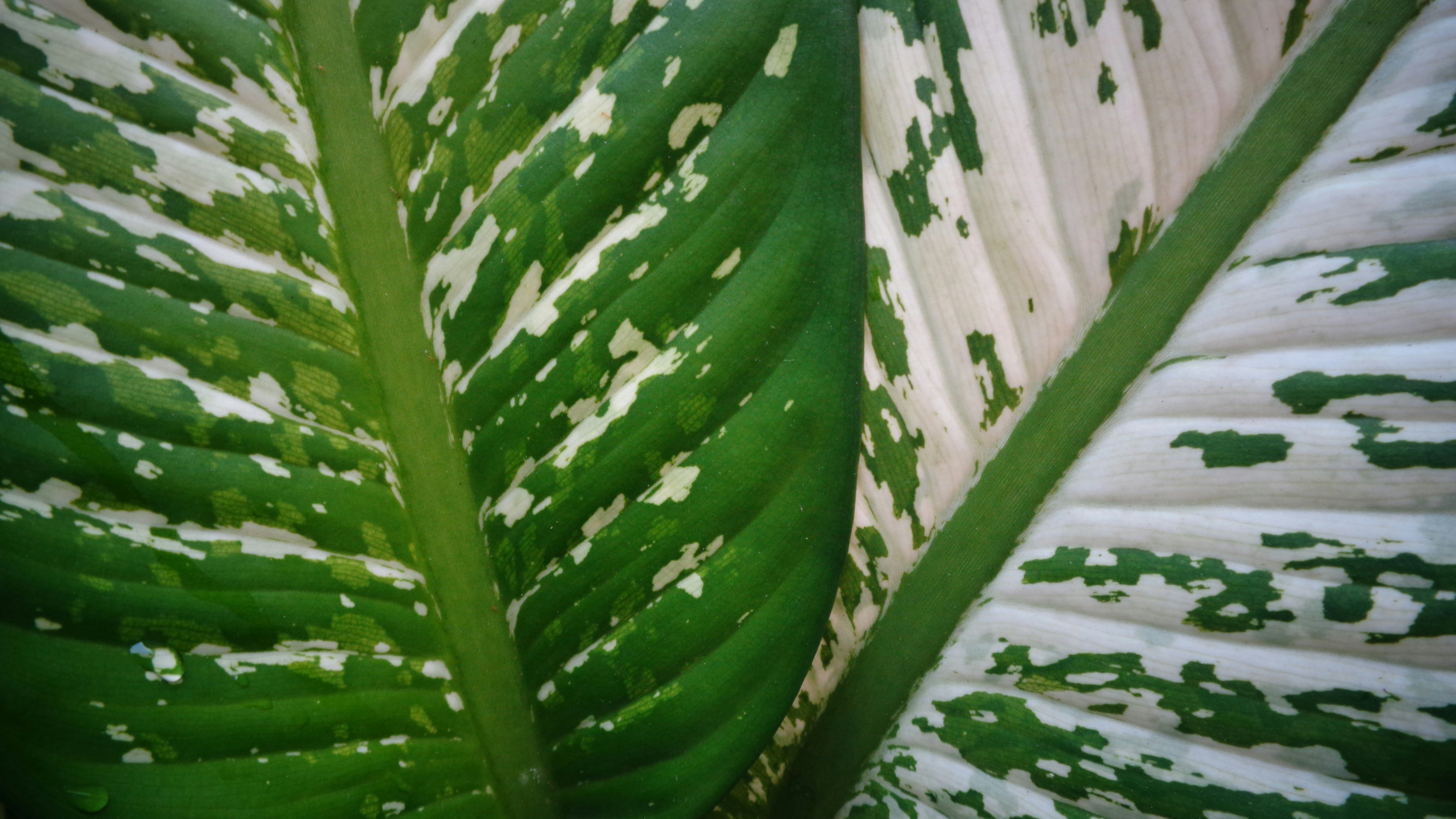 Photo by sciencaholic