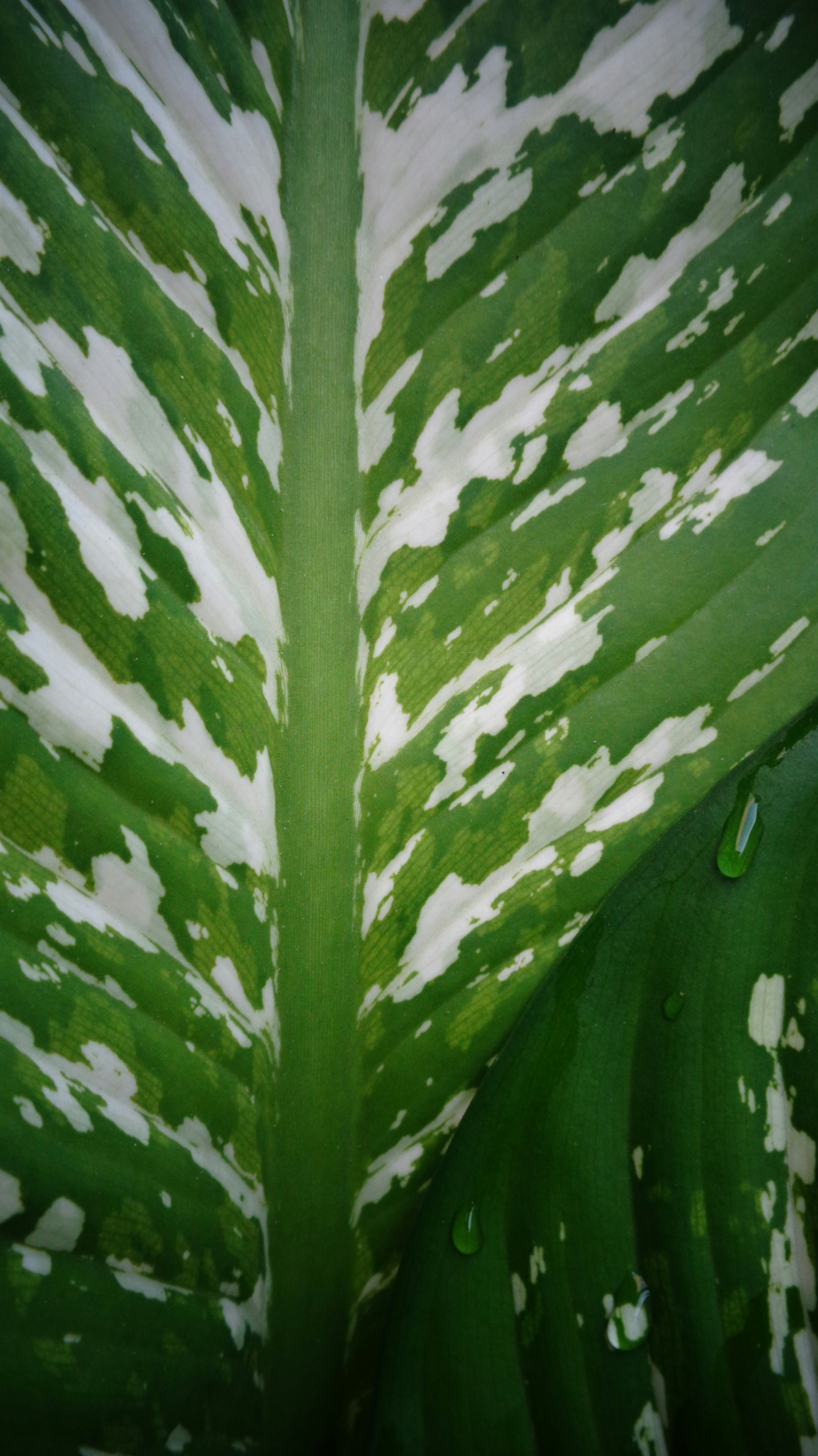 Photo by sciencaholic