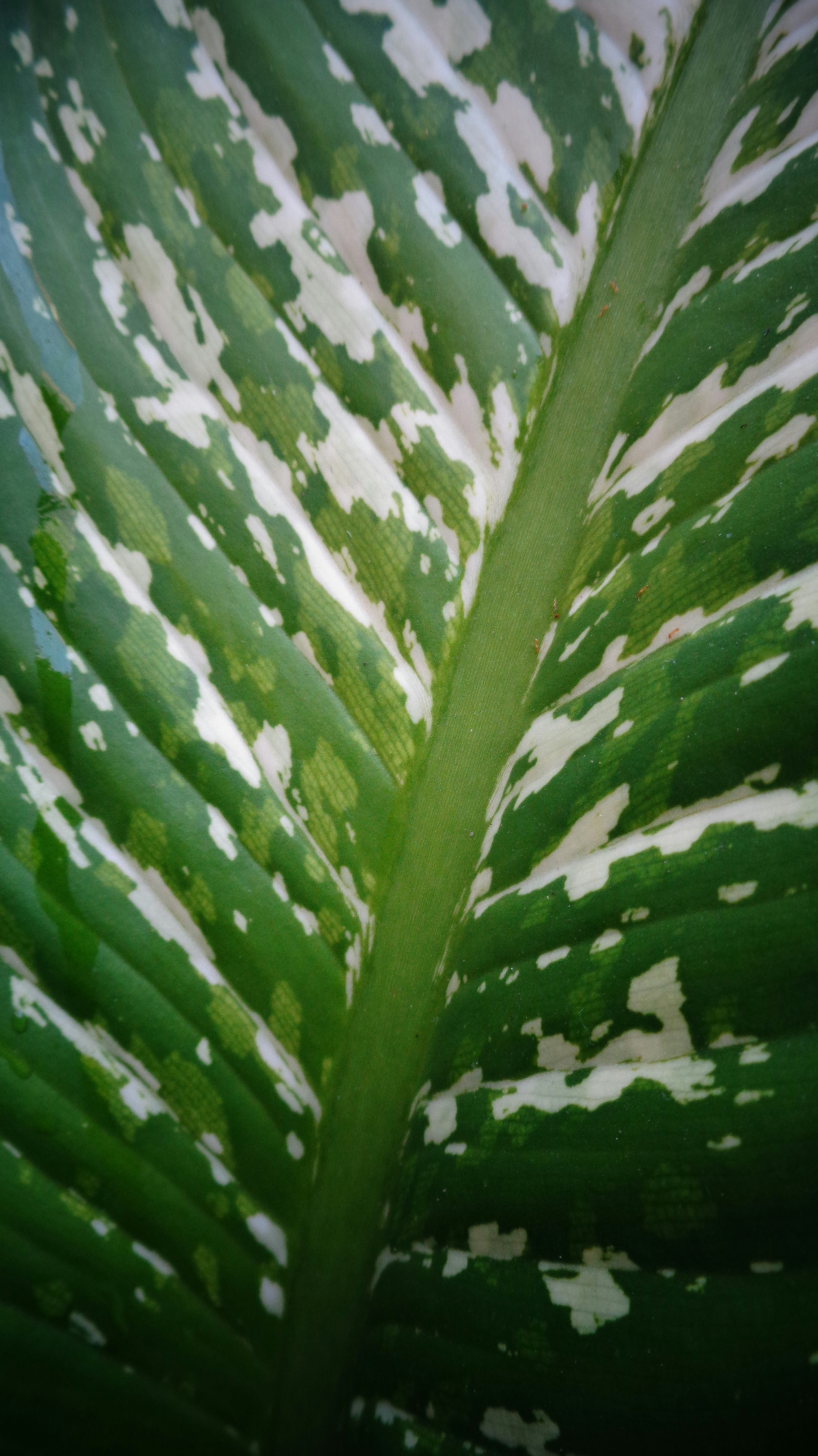 Photo by sciencaholic