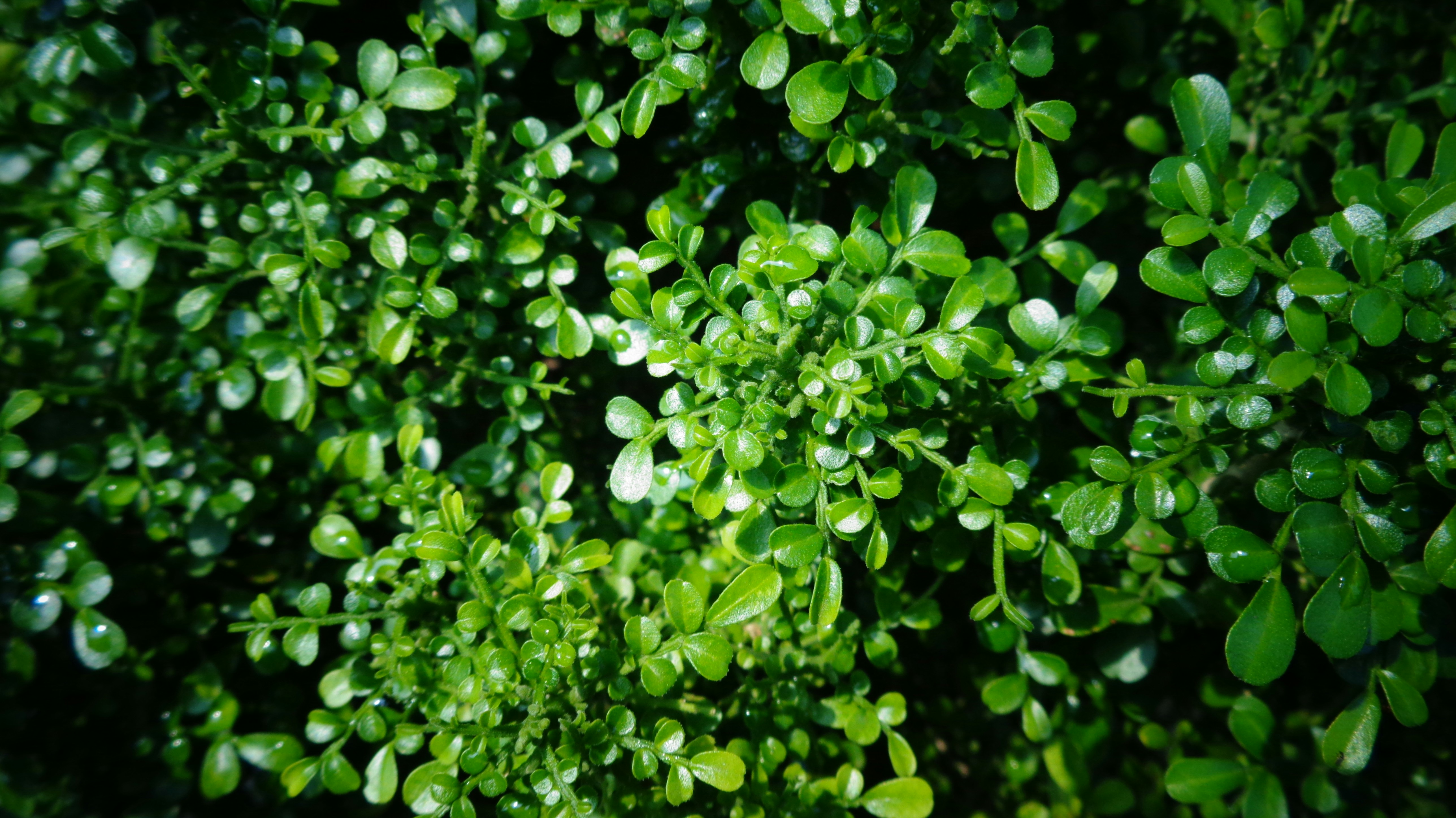 Photo by sciencaholic