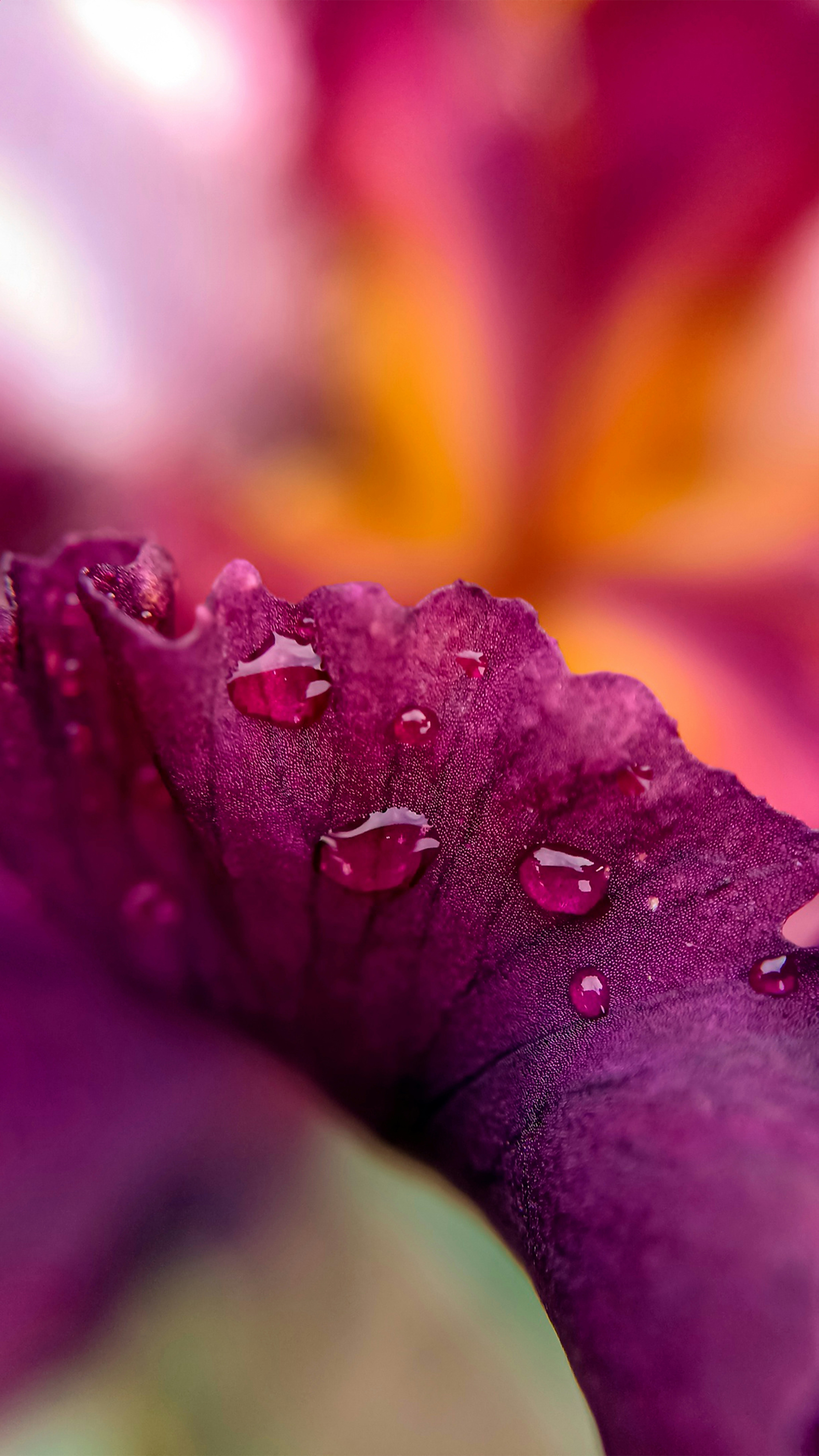 Photo by impermanent