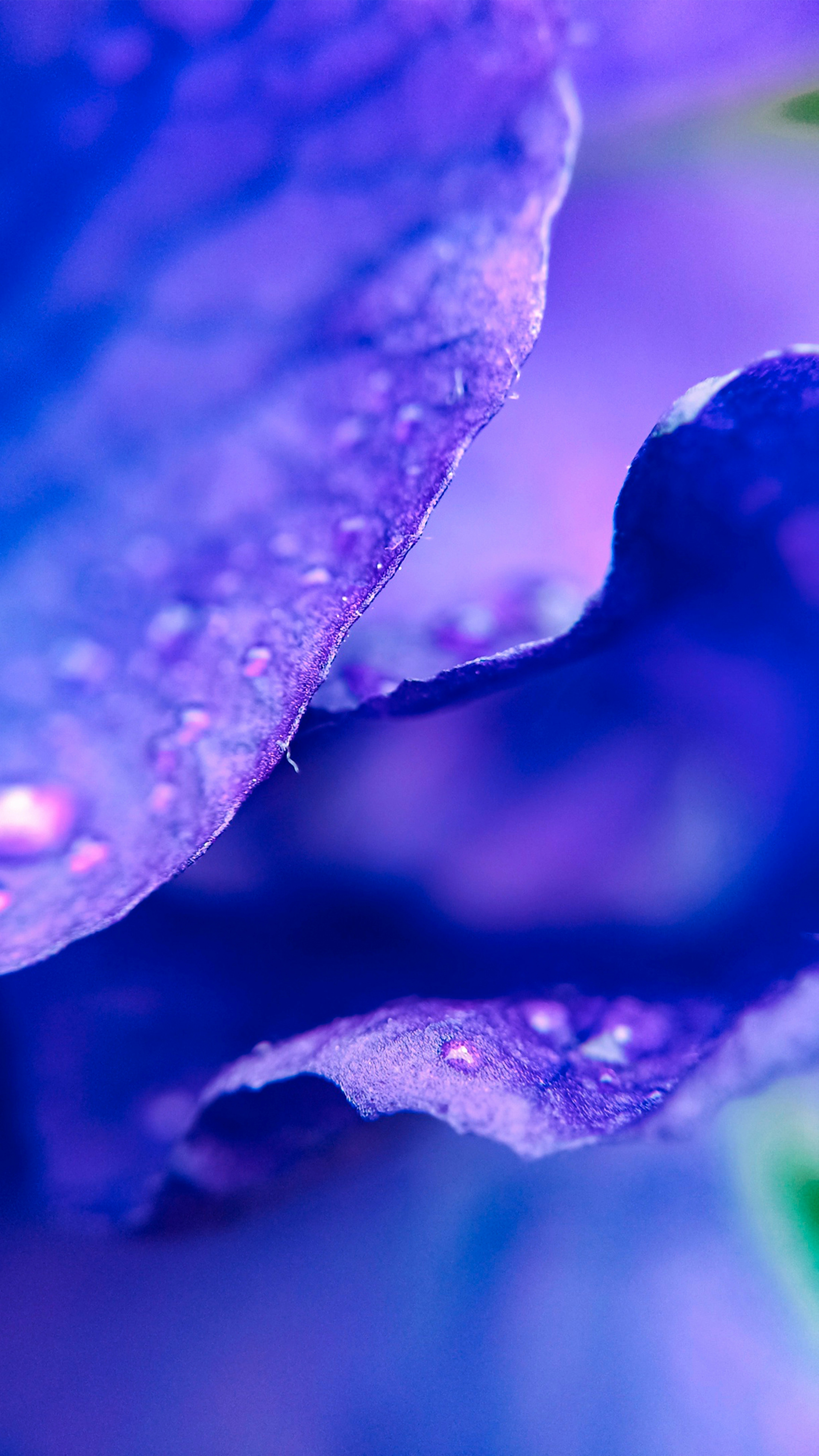 Photo by impermanent