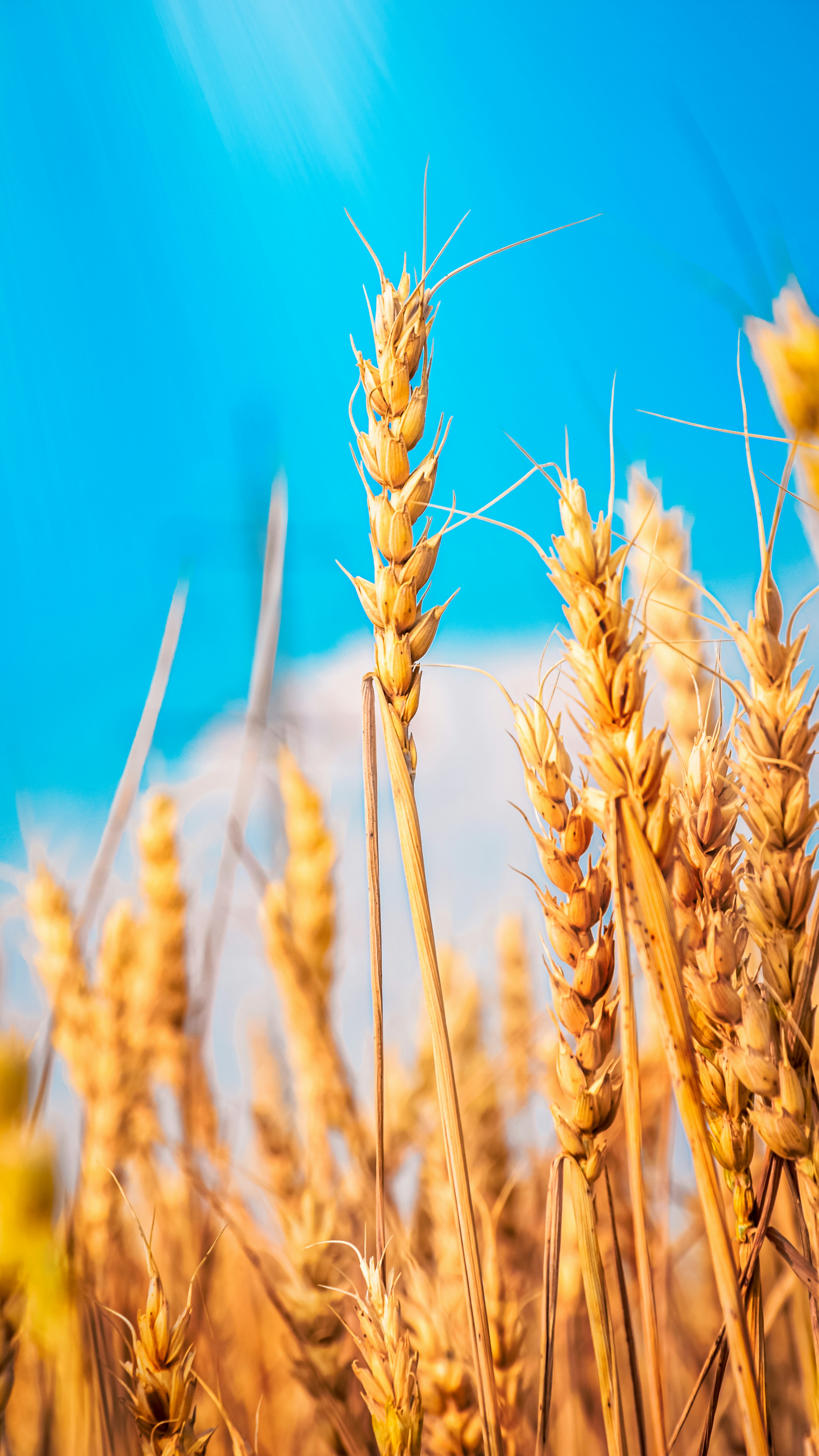 Photo by impermanent