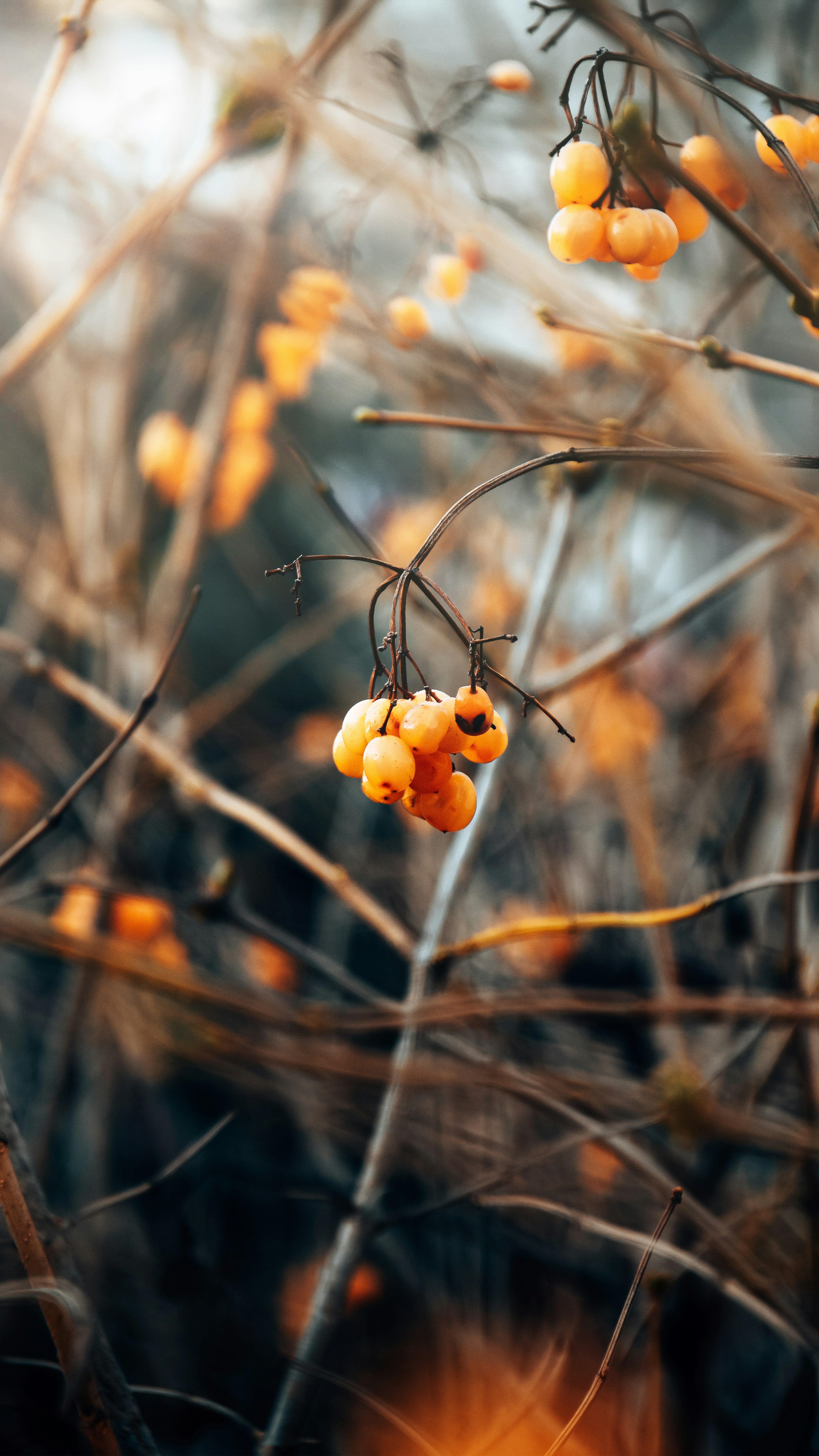 Photo by impermanent