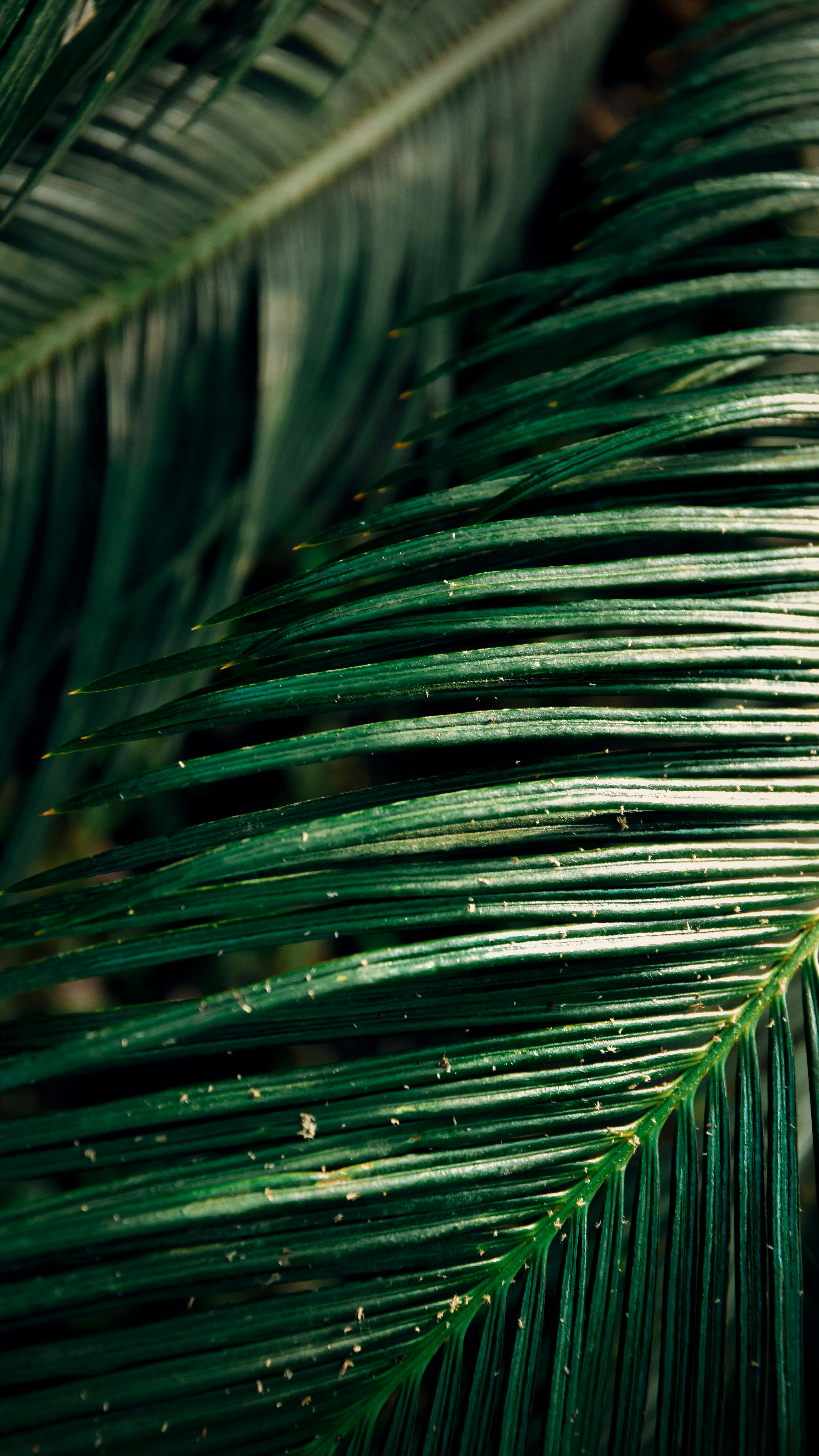 Photo by impermanent