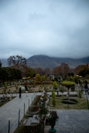 A view of a garden with mountains in the background