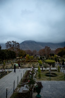 A view of a garden with mountains in the background