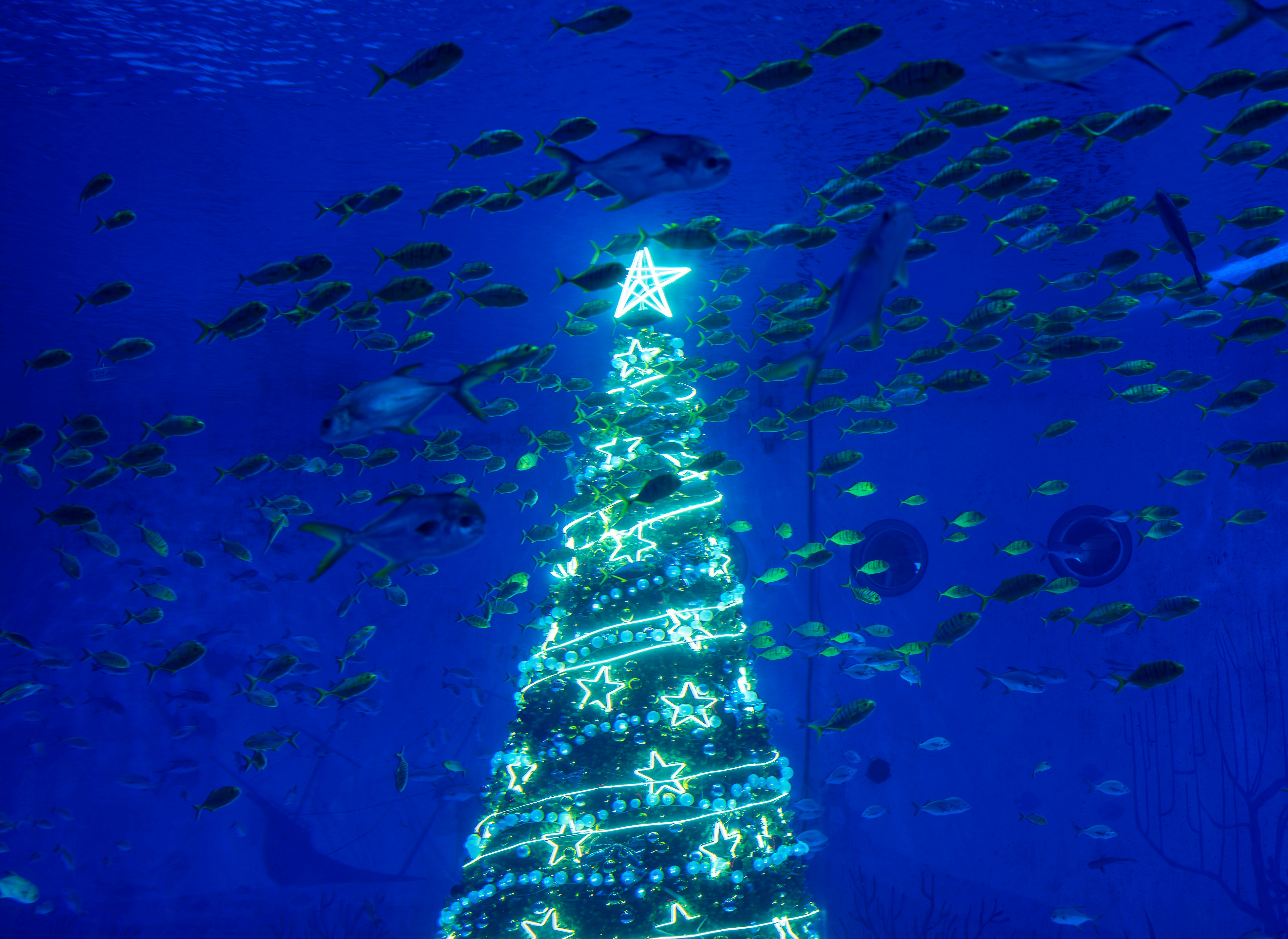 A montage image blending ancient symbols with modern Christmas decorations, suggesting a deep historical and cultural exploration.