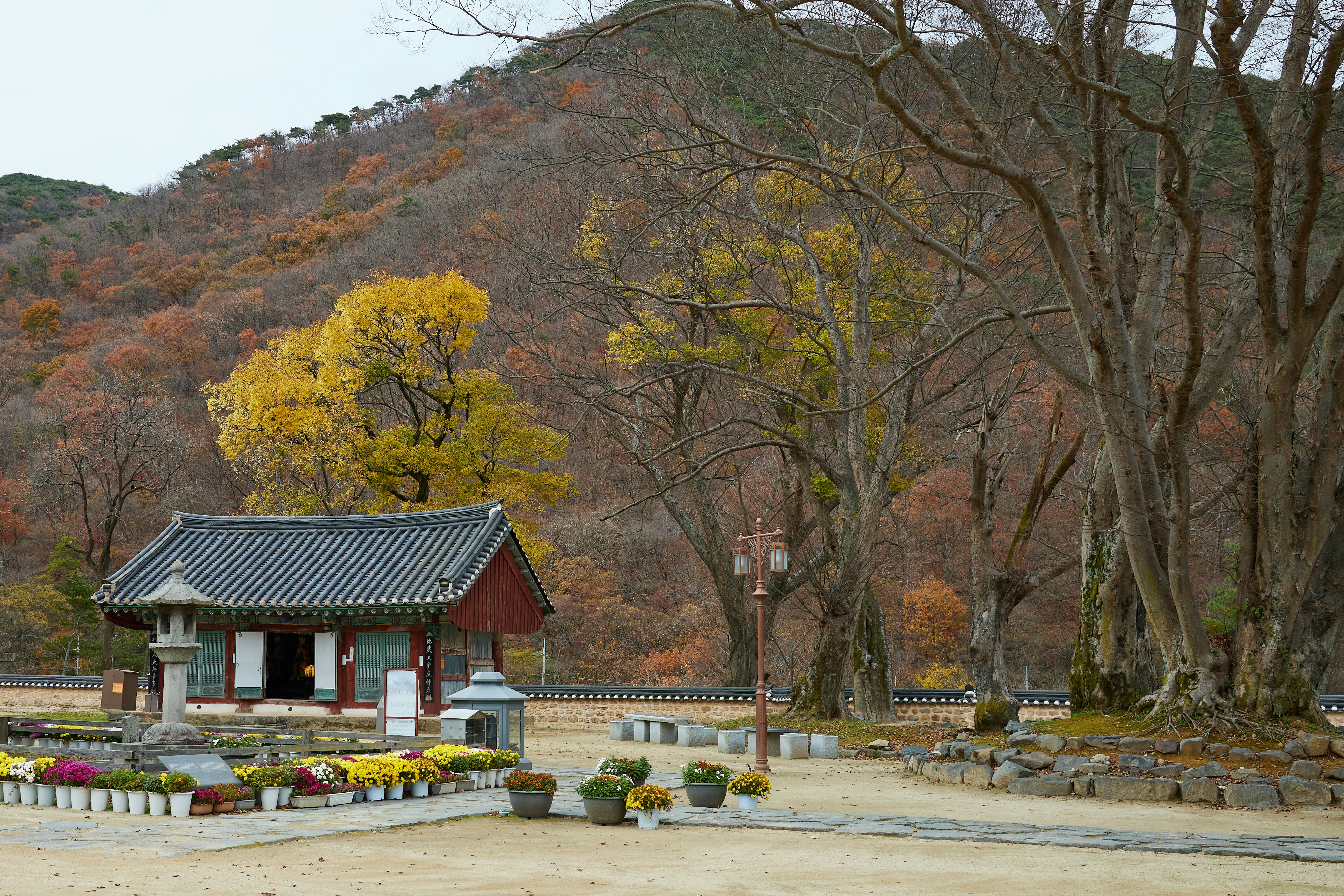 전주 한옥마을 크리스마스 여행 코스 이미지1