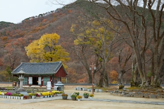 A small building in a park with a mountain in the background