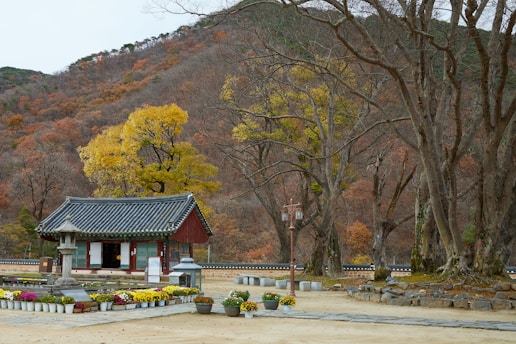 A small building in a park with a mountain in the background