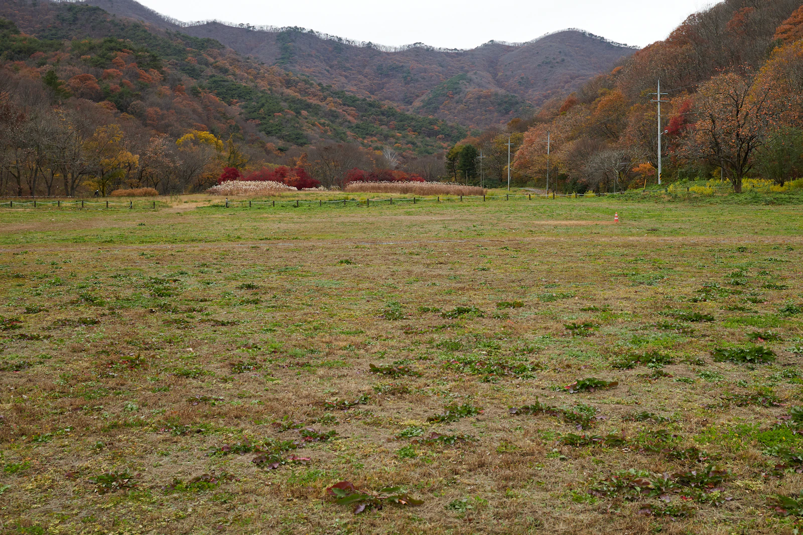 Yanıklar’da Ana Yola Yakın 6.500 m² Tarla – Arazi