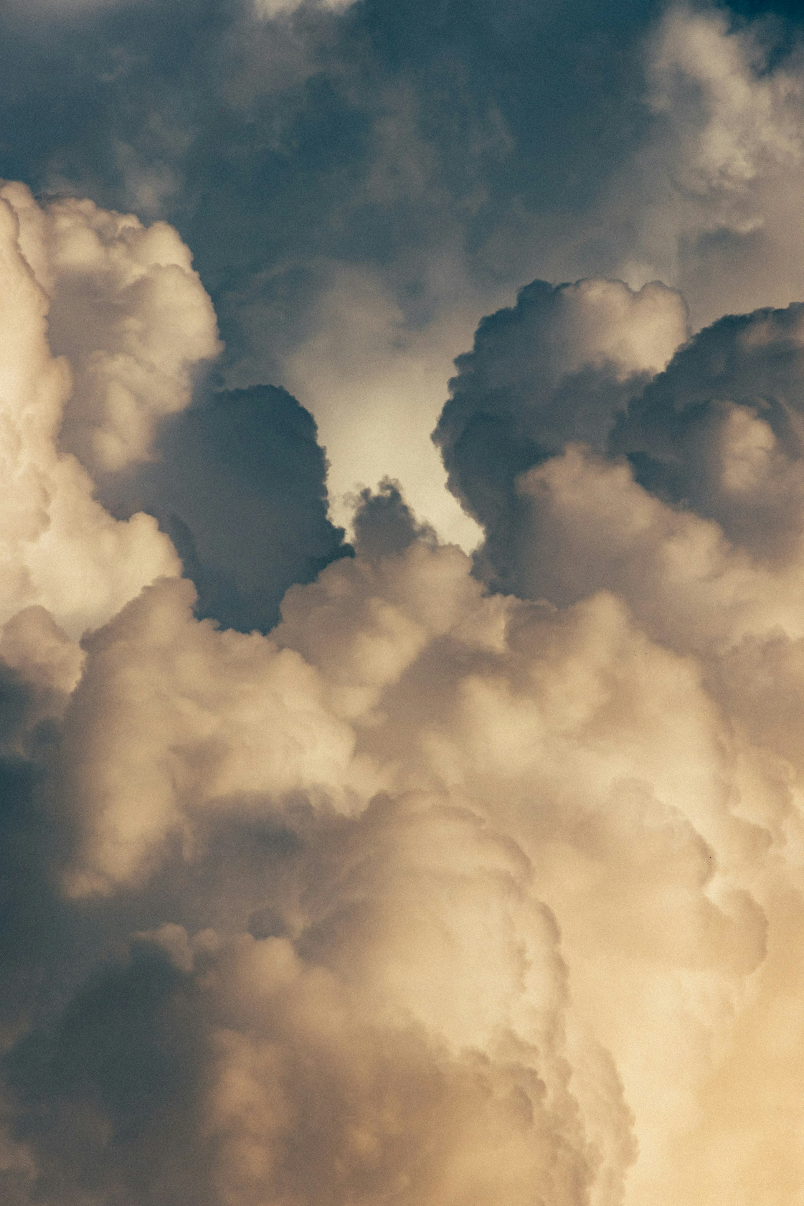 Photo by tsuyoshikozu