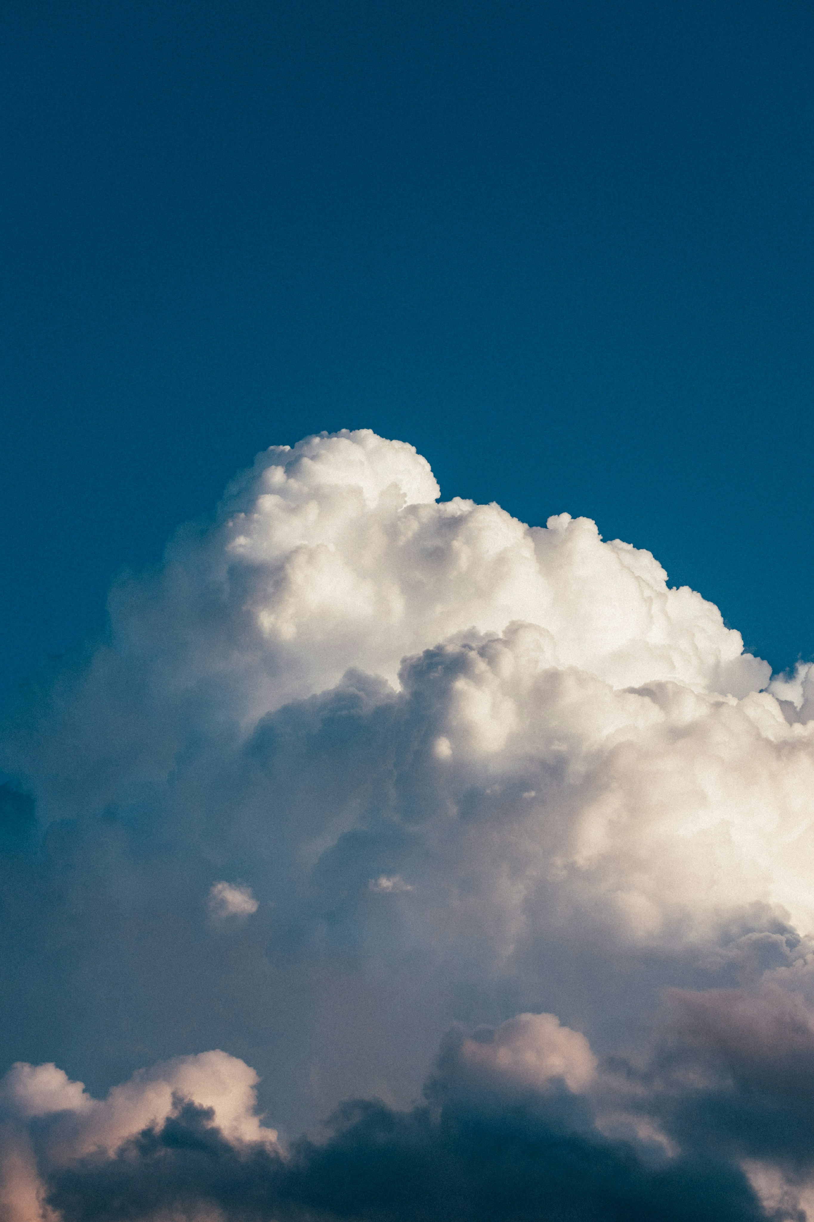 Photo by tsuyoshikozu