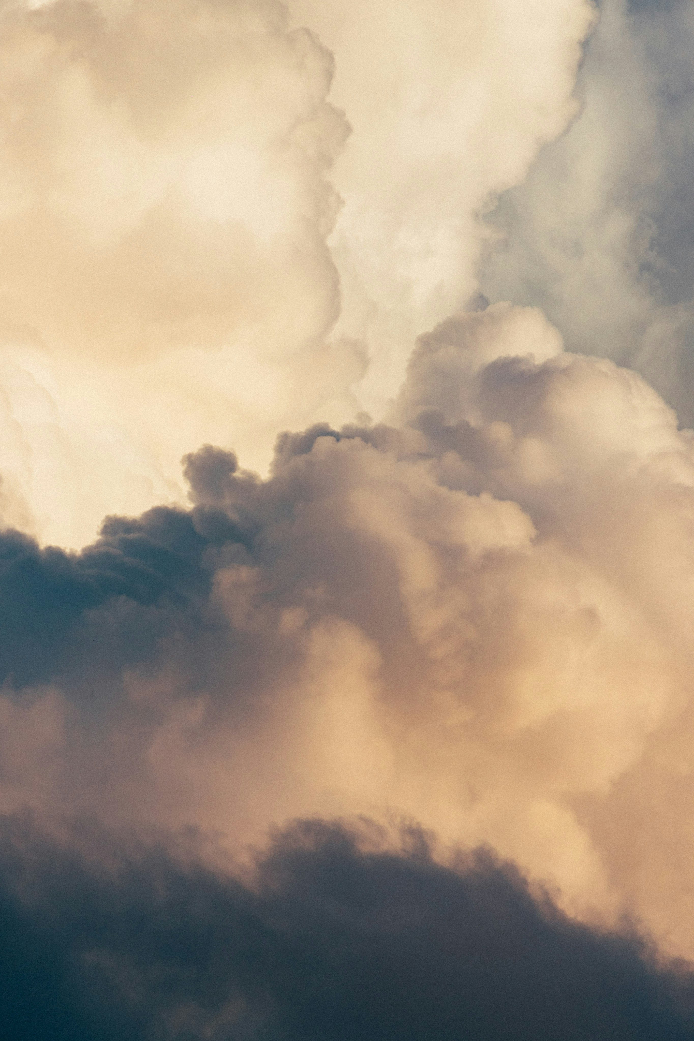 Photo by tsuyoshikozu