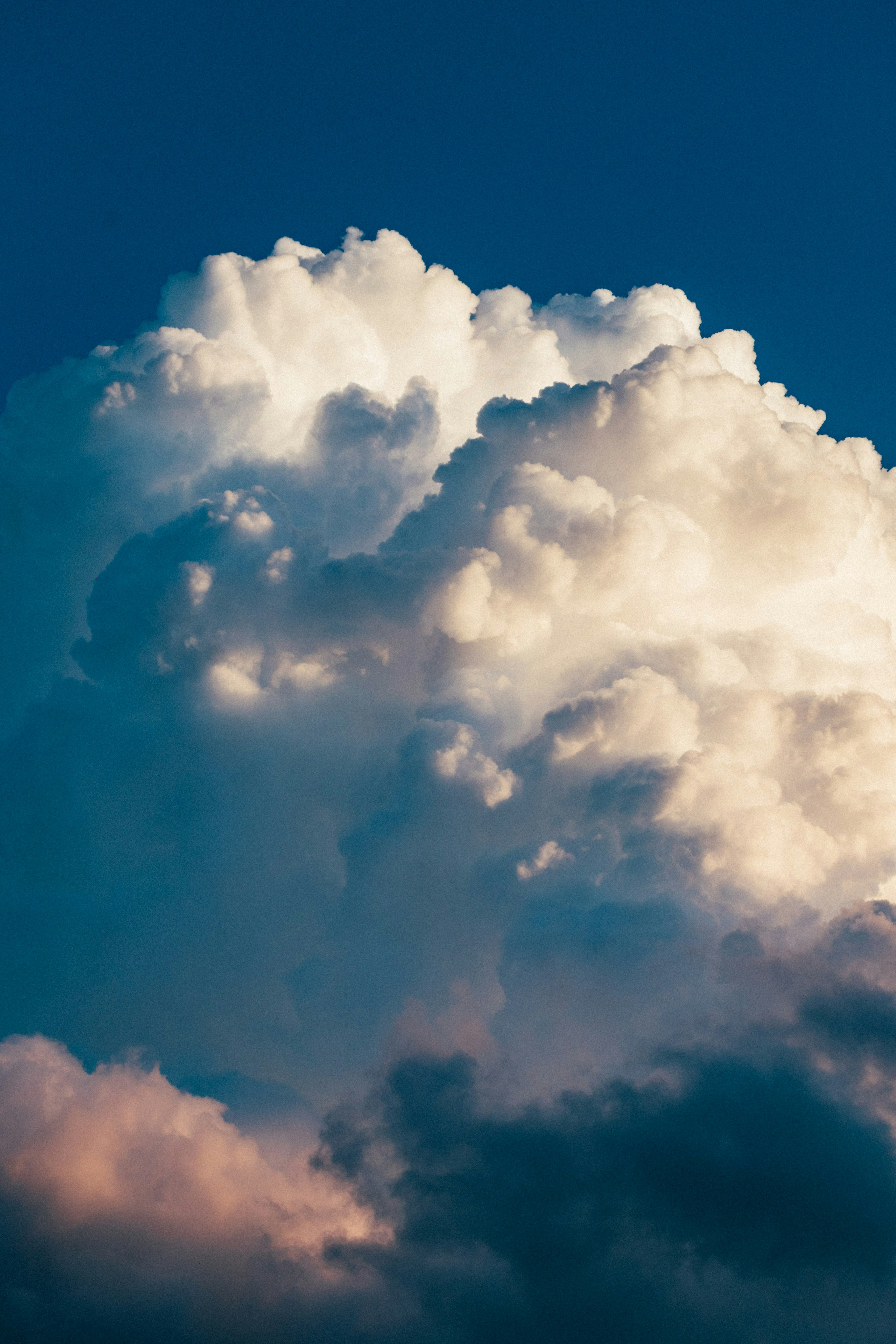 Photo by tsuyoshikozu